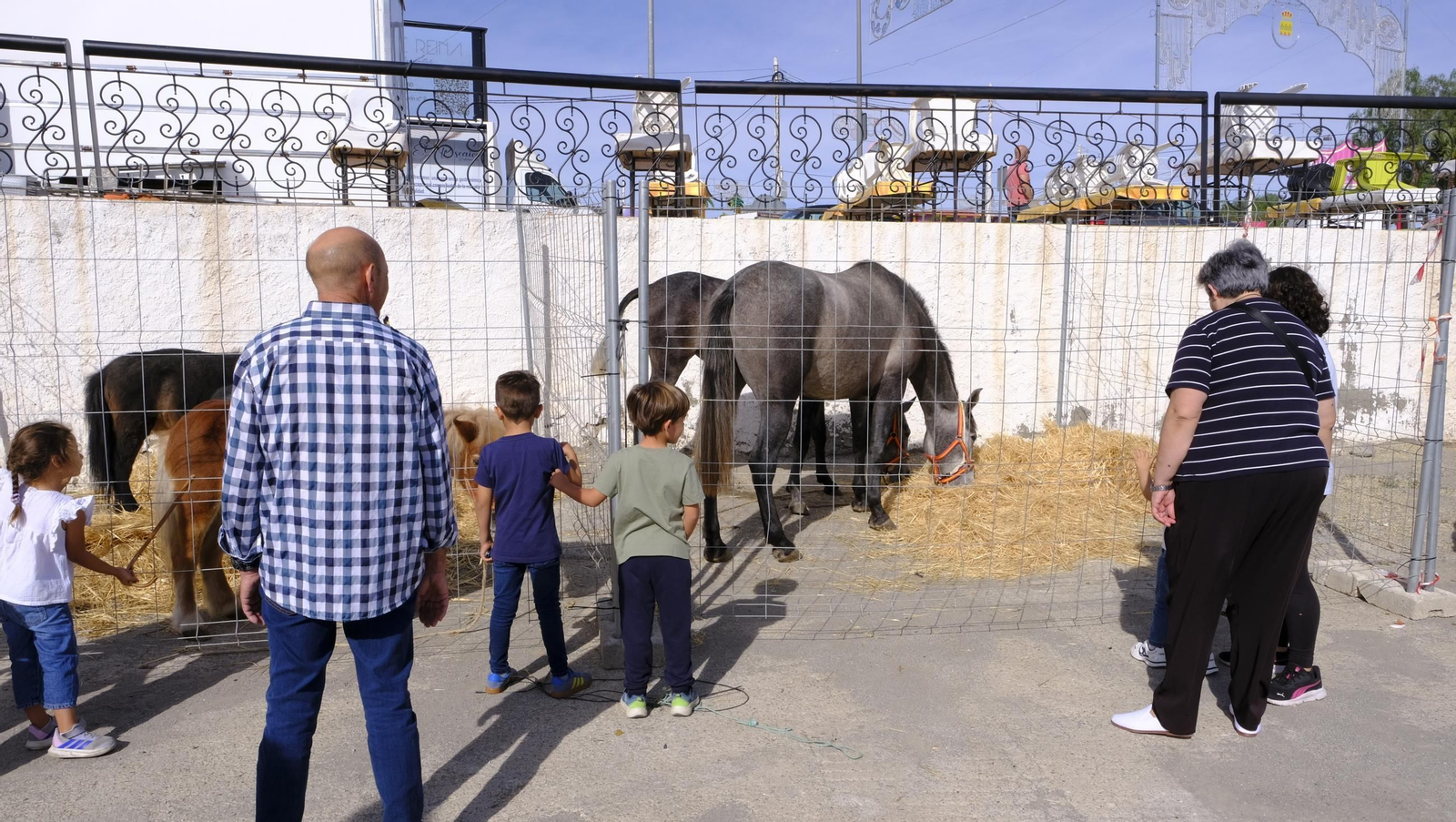 Las fotos de la Feria del Ganado y del Pájaro Perdiz en Albox