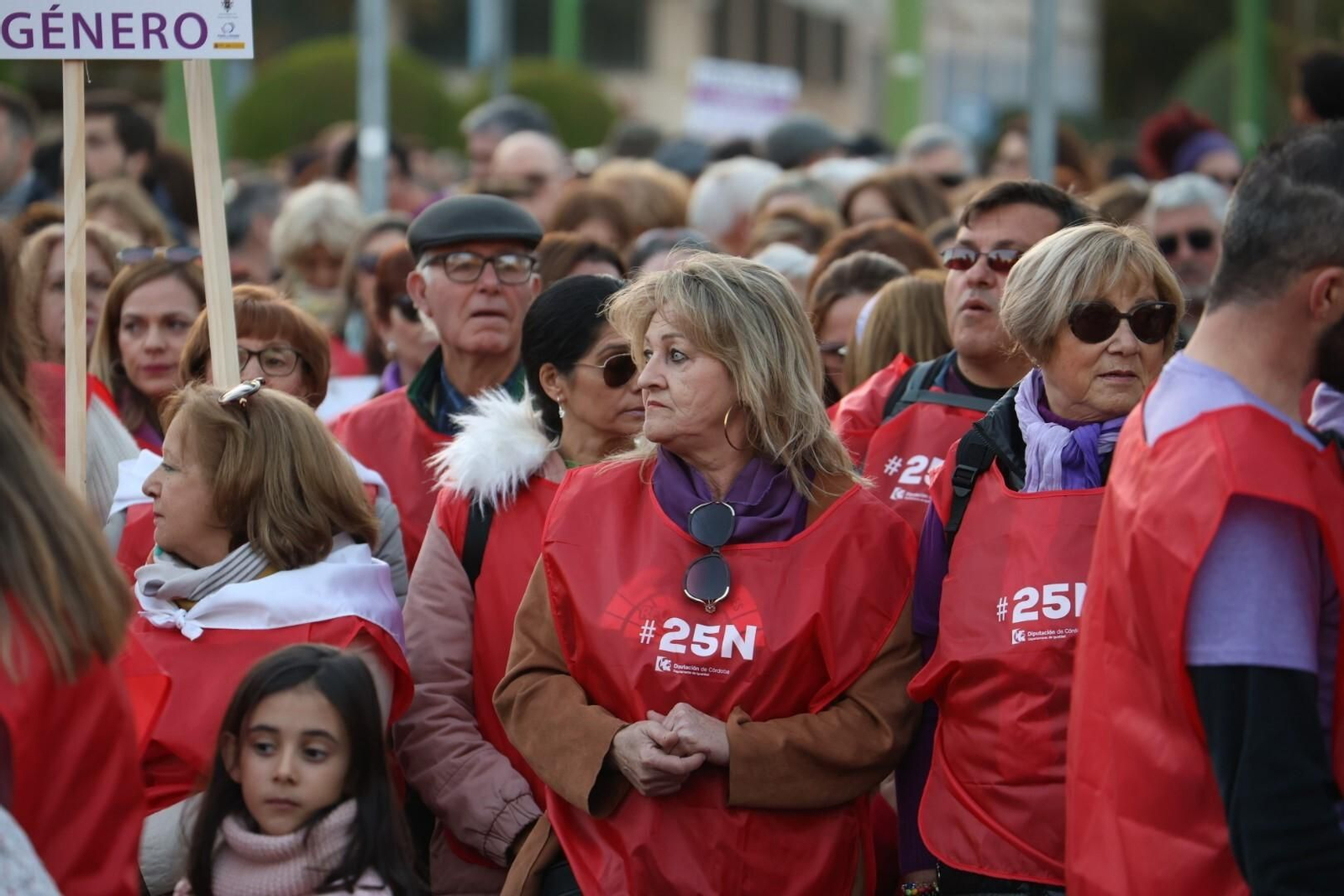 La manifestación del 25N en Córdoba, en imágenes