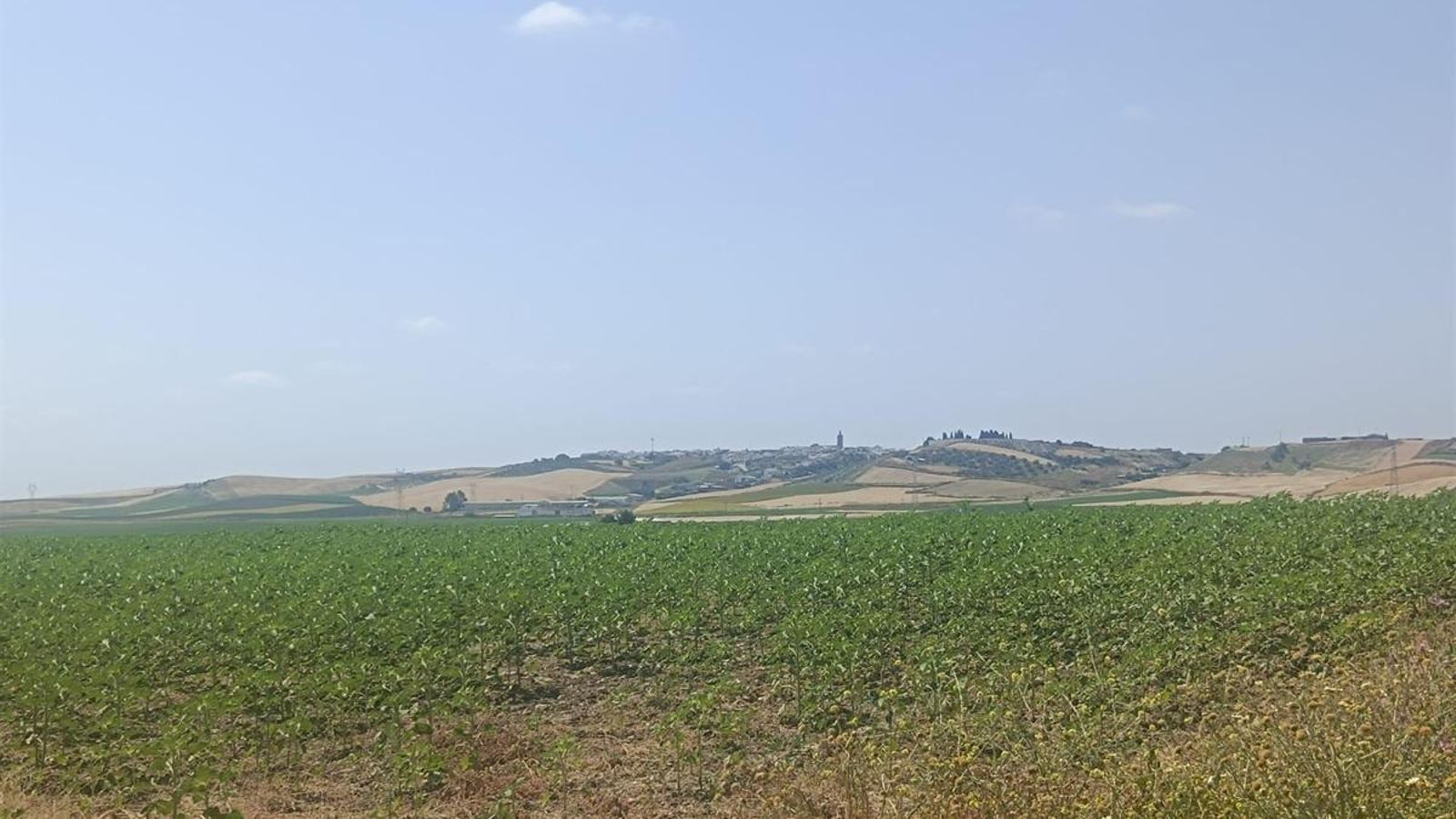 A la derecha, distinguiremos Paterna del Campo.