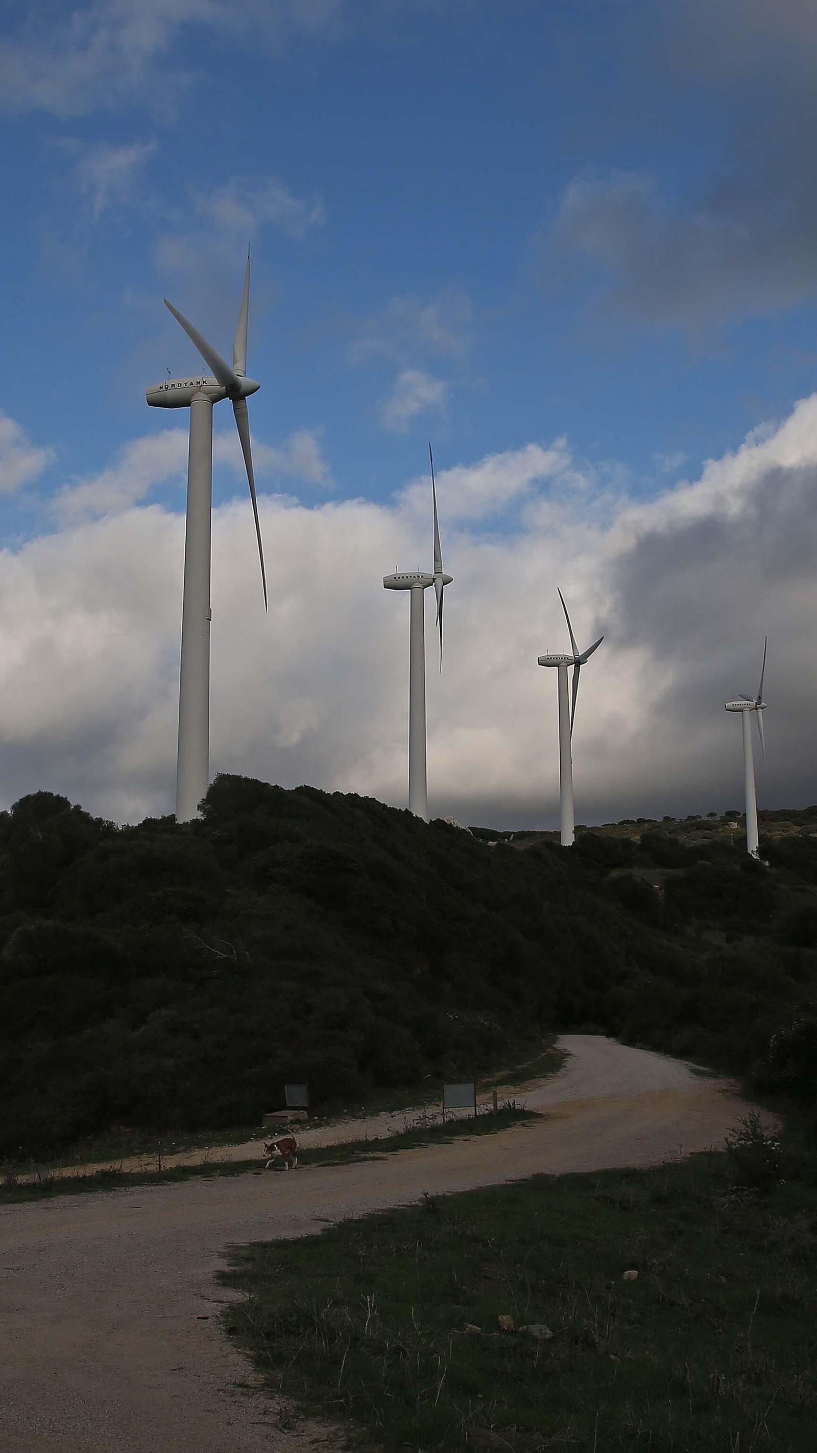 Fotos del sendero del Cerro del Tambor en Algeciras