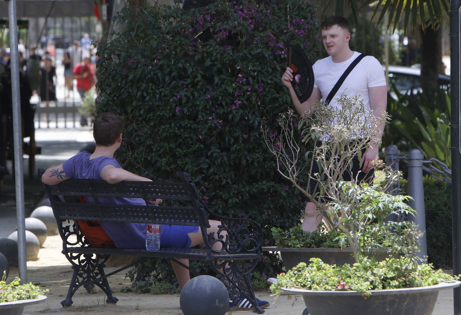 Un joven turista abanicándose en Sevilla.