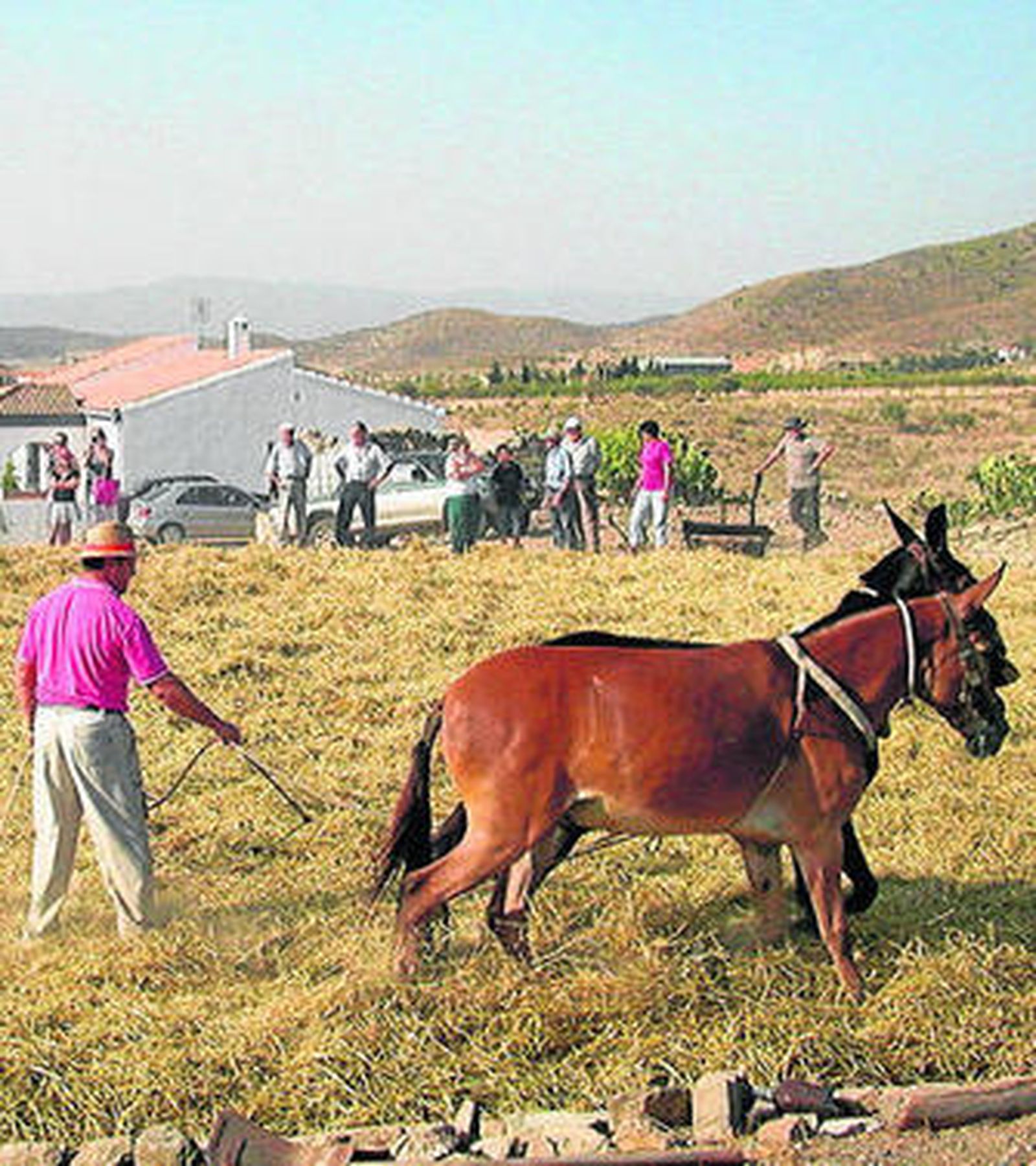 Una de las estampas de la primera edición.