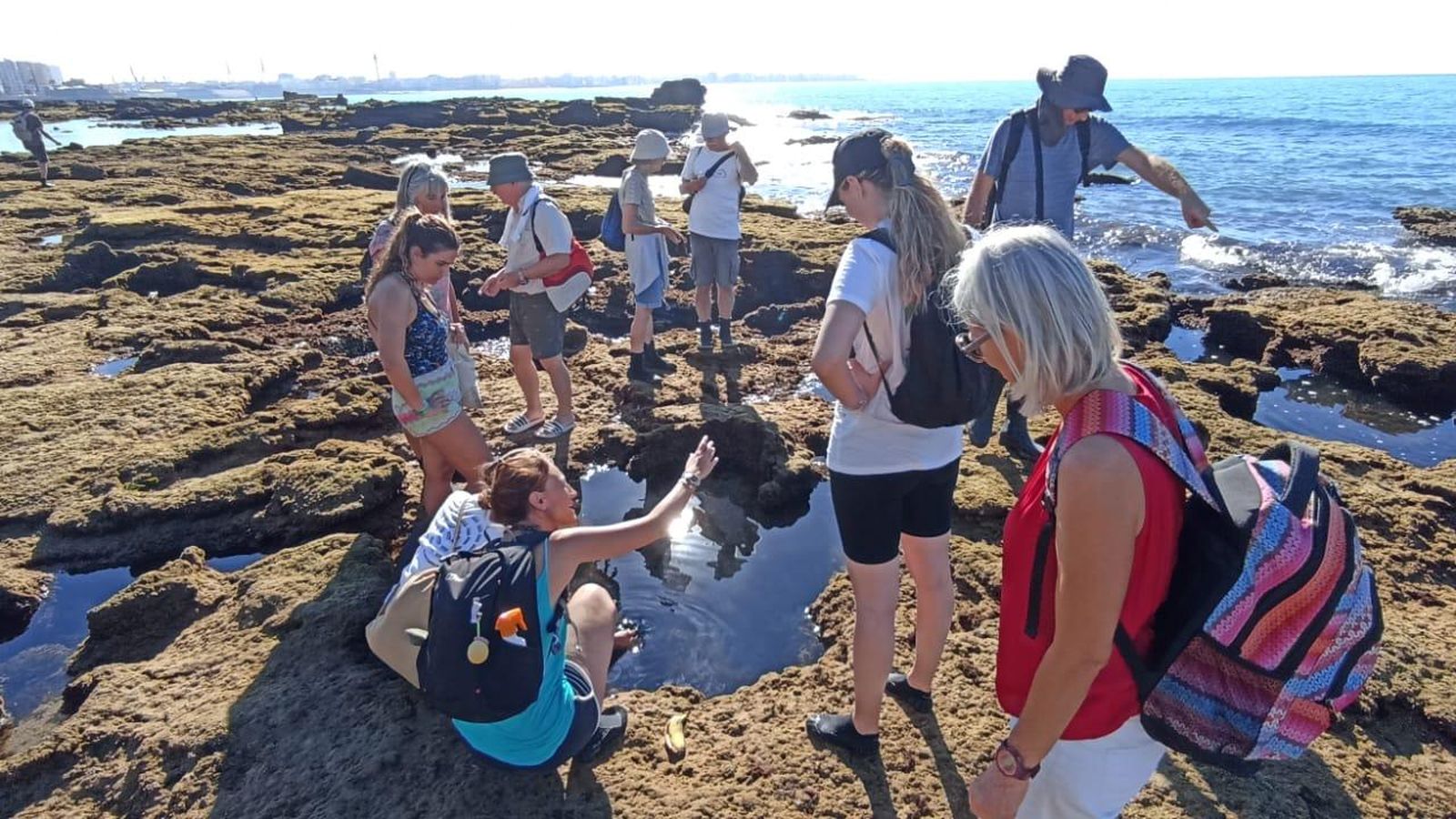 El grupo, a pie de campo