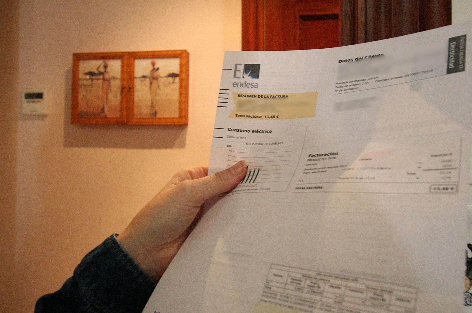 Detalle de una factura de la luz.