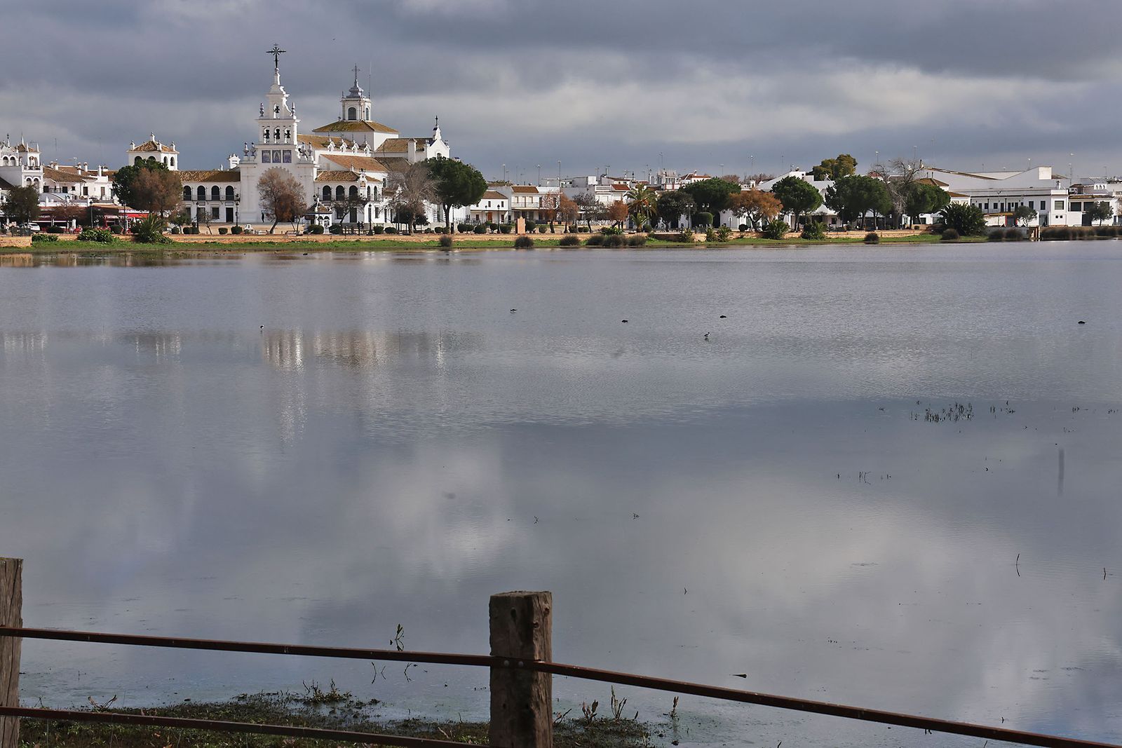 Estado actual en el que se encuentran las Marismas del Rocío tras las últimas lluvias
