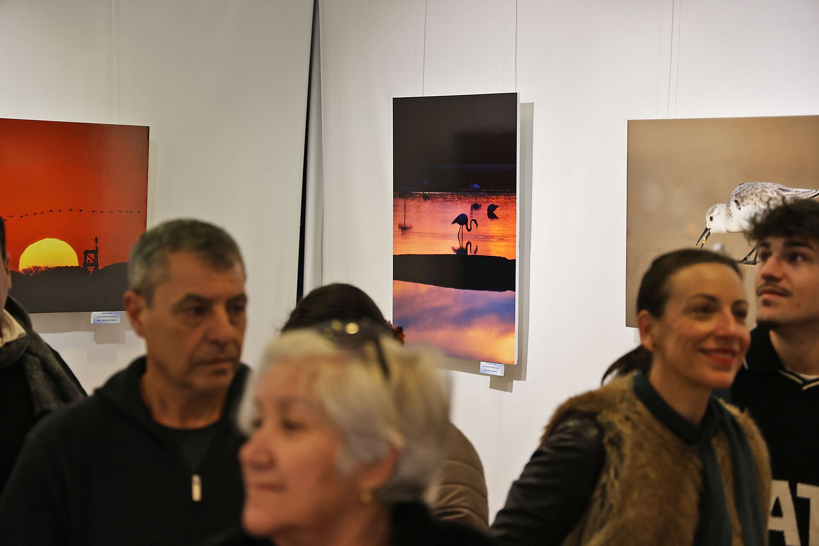 Exposición del Concurso de Fotografía 'Alas del Odiel'