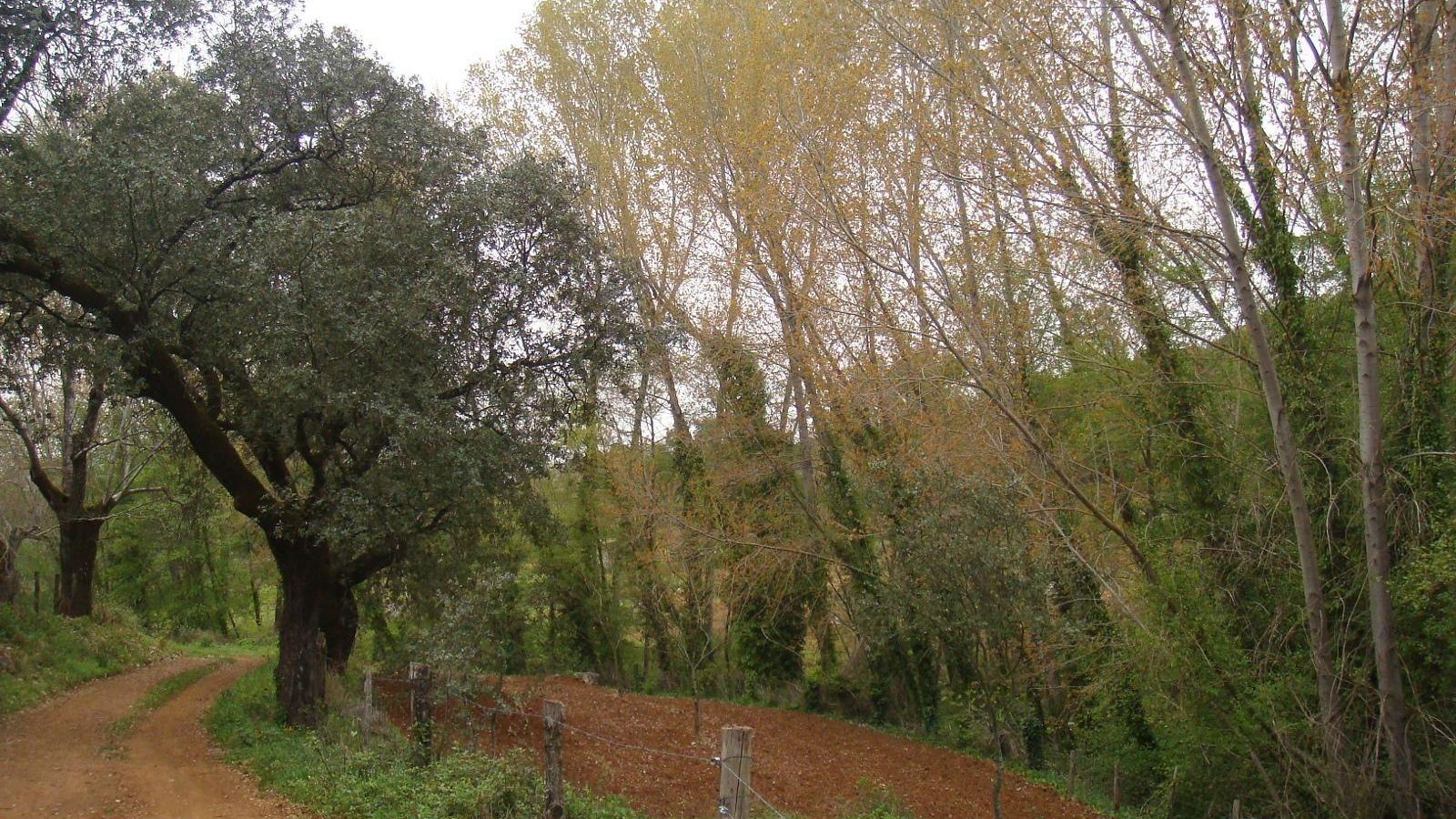 Sendero Risco de Levante, uno de los más bonitos de España Sendero Risco de Levante, uno de los más bonitos de España
