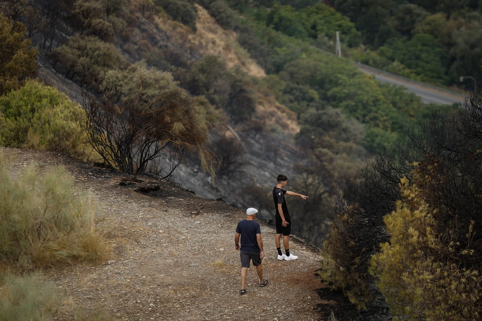 Las imágenes de la Fuente de la Bicha de Granada tras las llamas