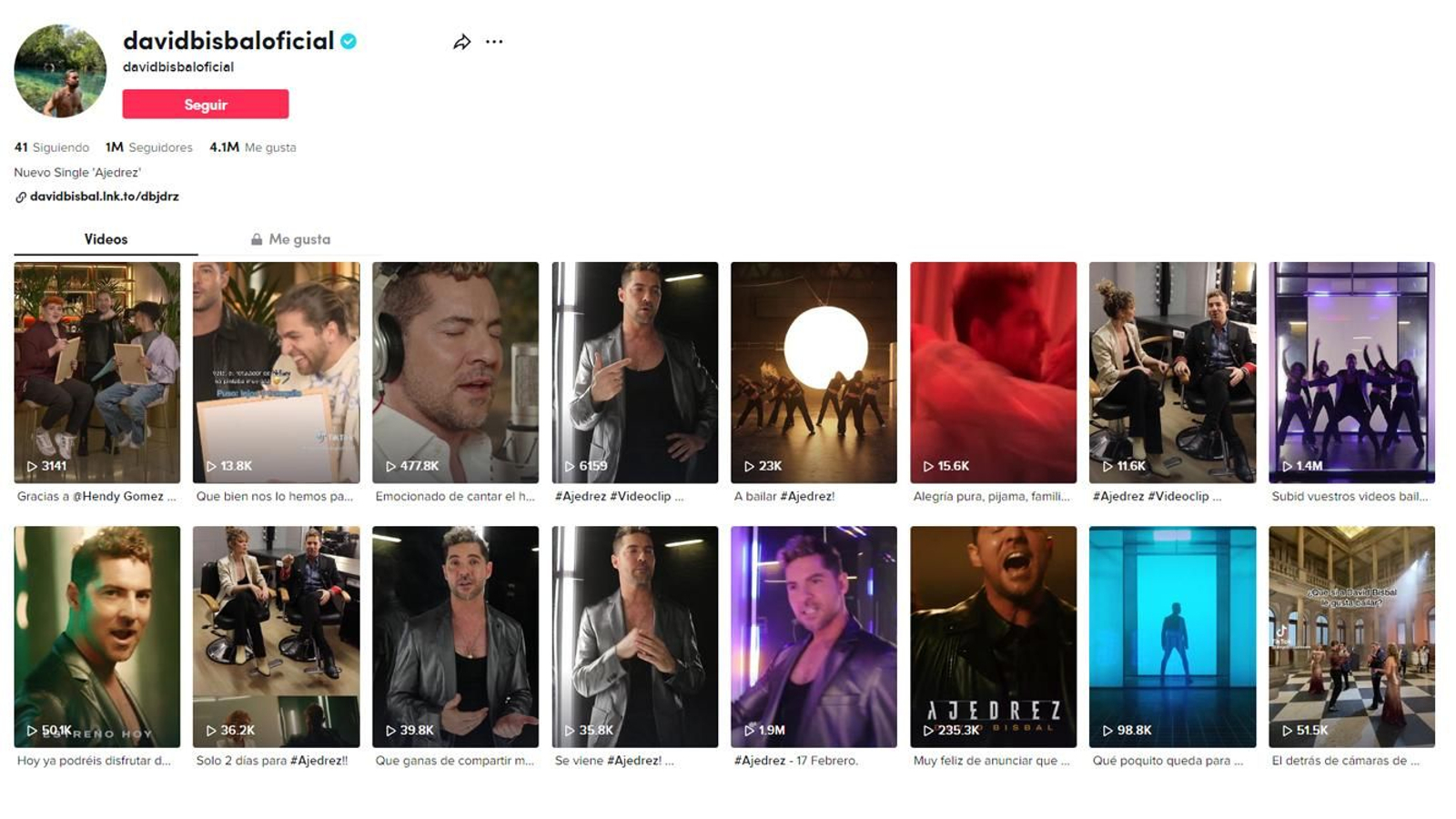 Éxito entre los más jóvenes con TikTok