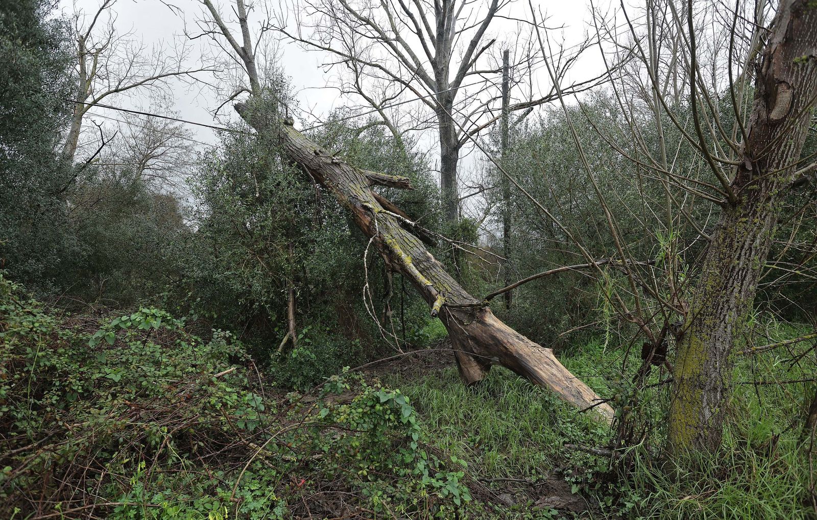 Fotos de los efectos de la borrasca Leonardo en Algeciras