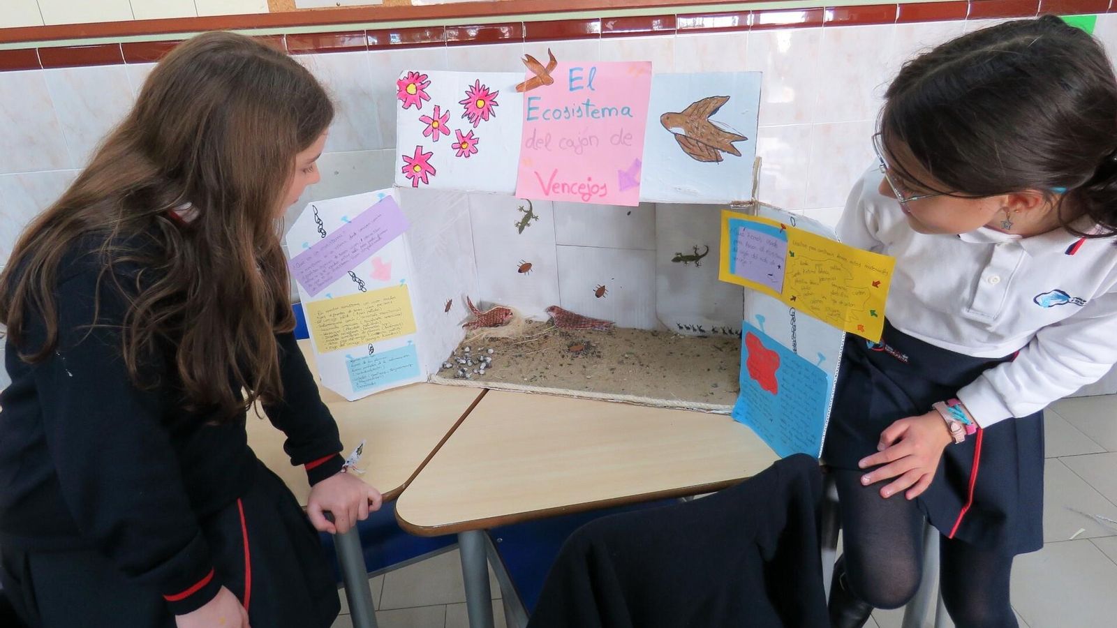 Maqueta de 'El ecosistema del cajón', experiencia estrella desarrollada en el colegio.