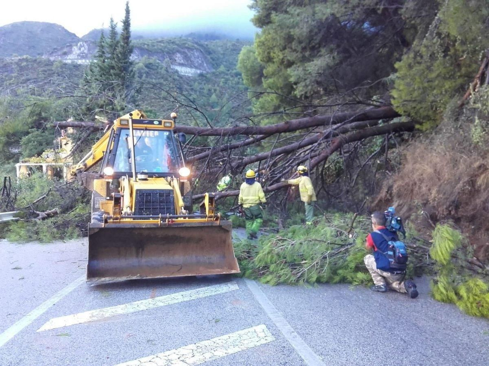 Agentes del Infoca retiran un árbol sobre una carretera en Ojén
