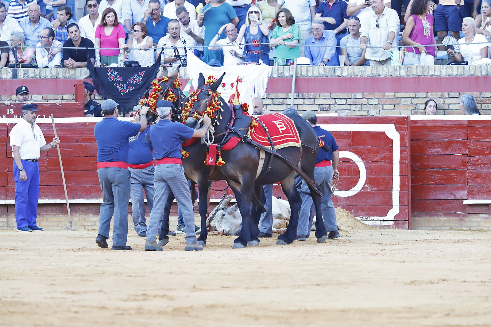 COLOMBINAS 2023: Festejo del miércoles de la Feria Taurina
