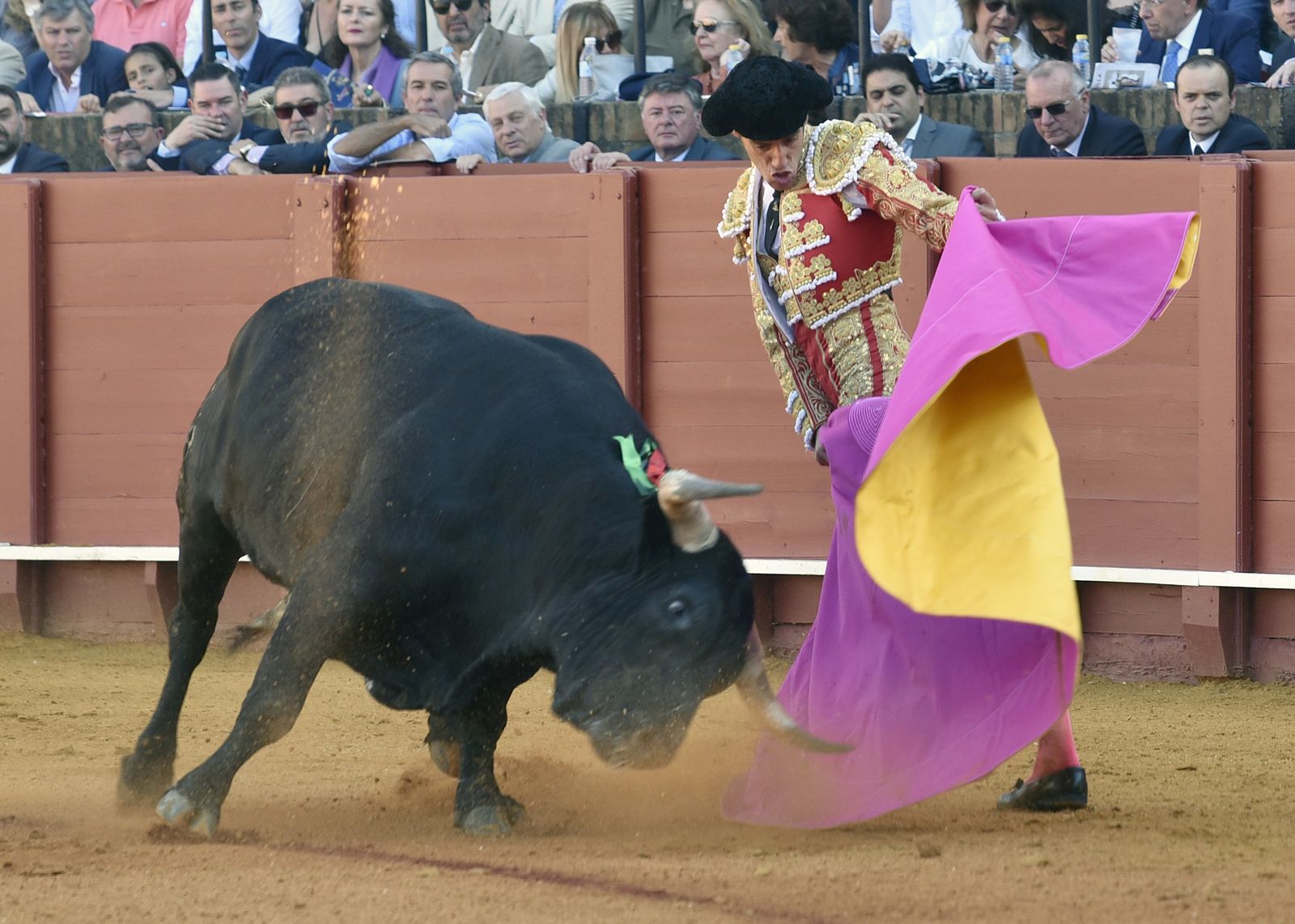 La 14ª de abono en la Real Maestranza de Sevilla, en imágenes