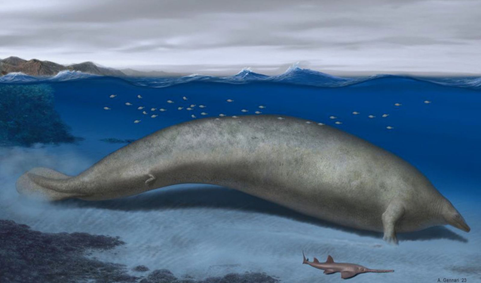 Una antigua y colosal ballena desafía el título de "animal más pesado" a la ballena azul