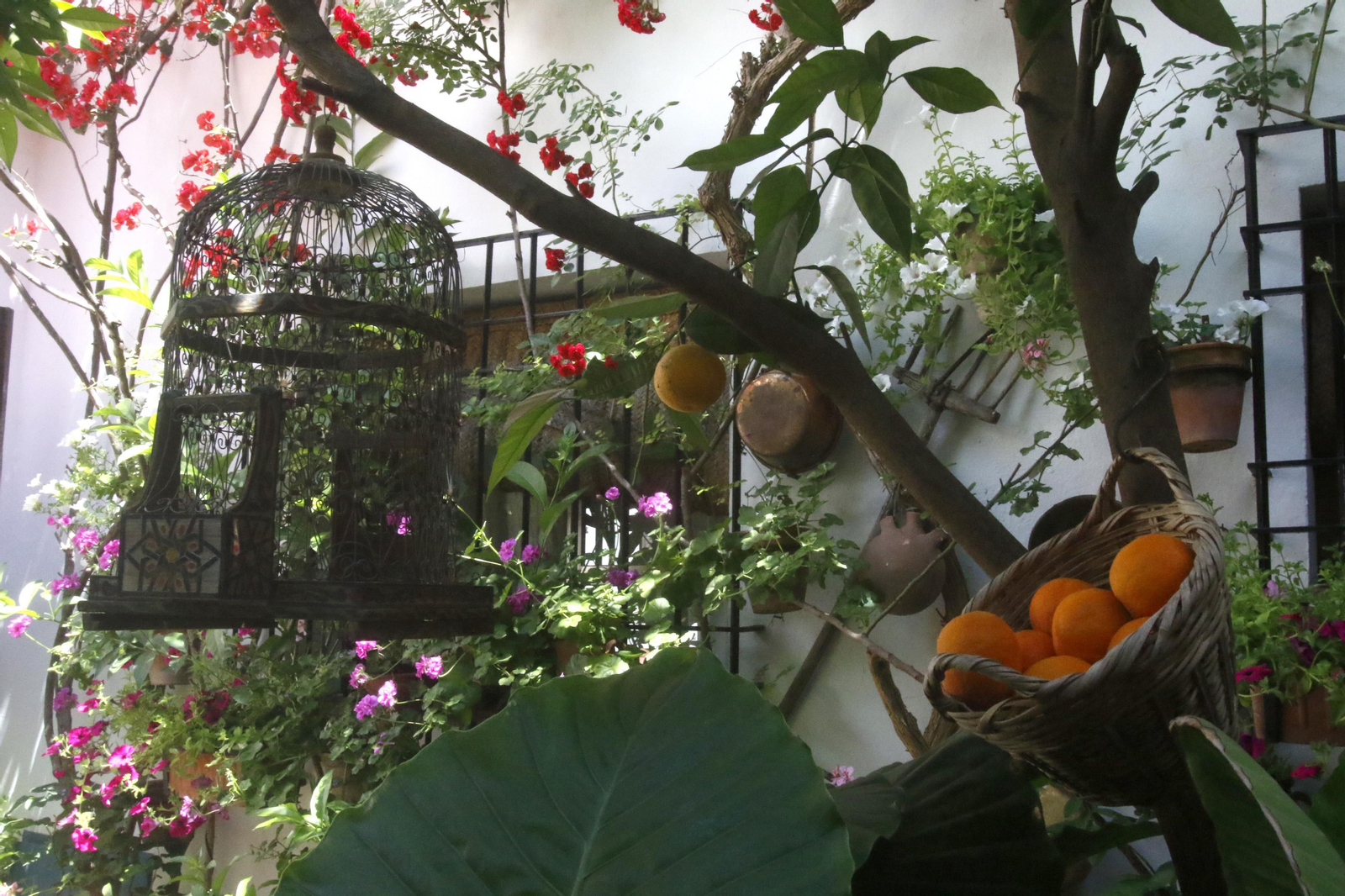 Ruta Santa Marina - San Agustín de los Patios de Córdoba, en imágenes