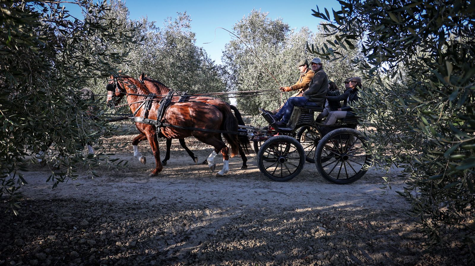 I Ruta de Carruajes Viñas de Jerez