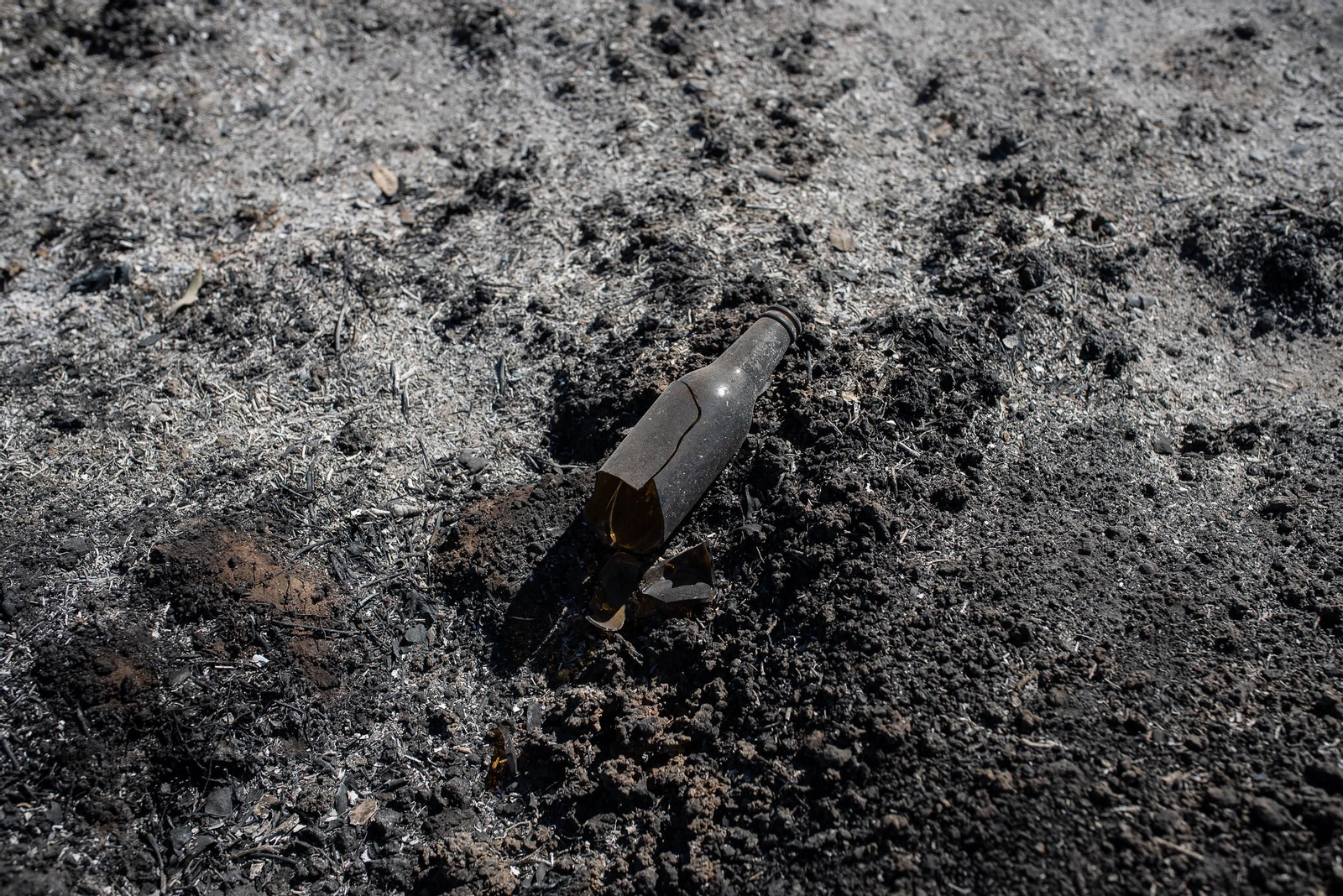 El rastro del incendio de Almonte en imágenes