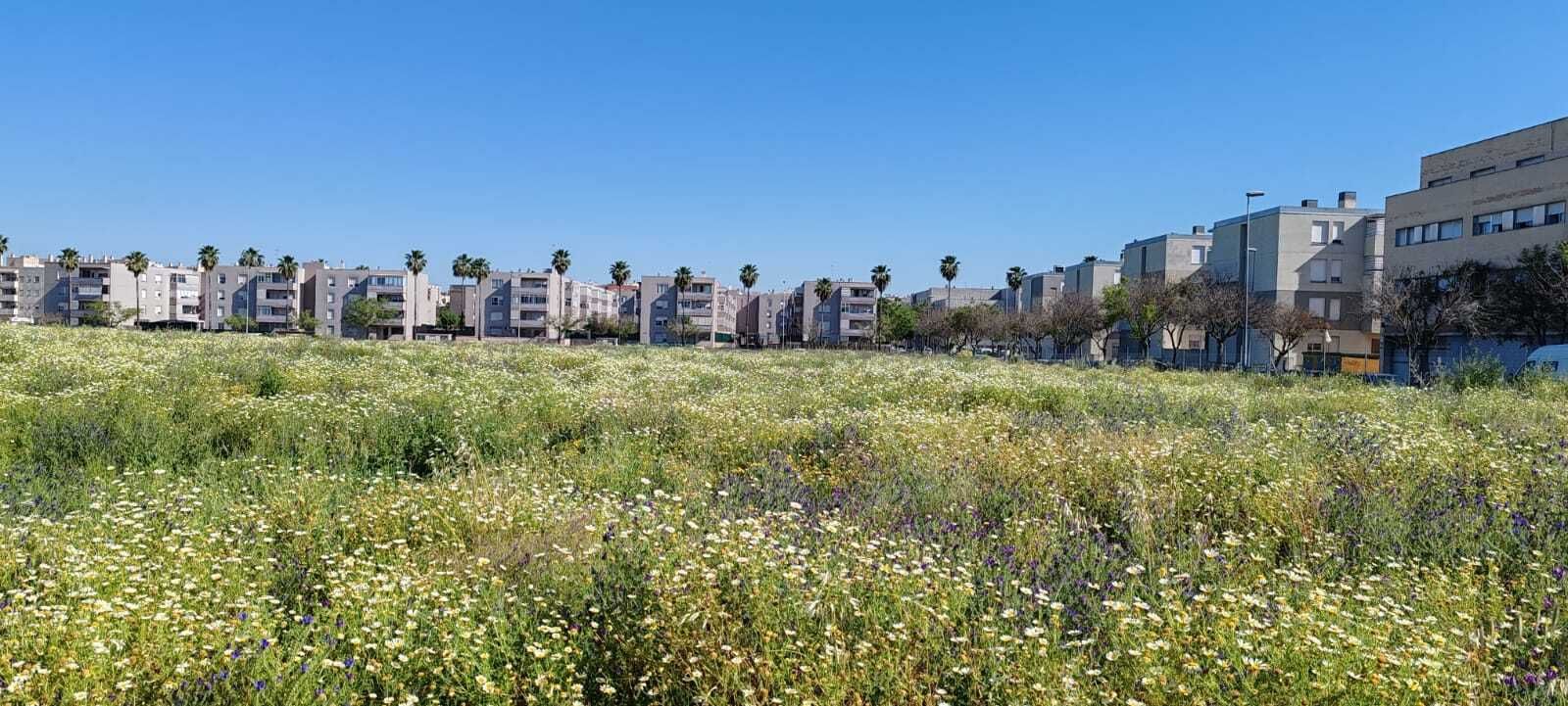 La zona sur de Jerez: ¿un campo de basura y malas hierbas?