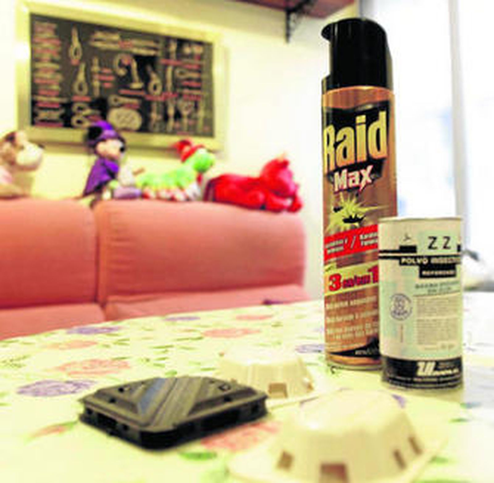 Trampas e insecticidas que usa Isabel para eliminar a las cucarachas que se cuelan en su casa.