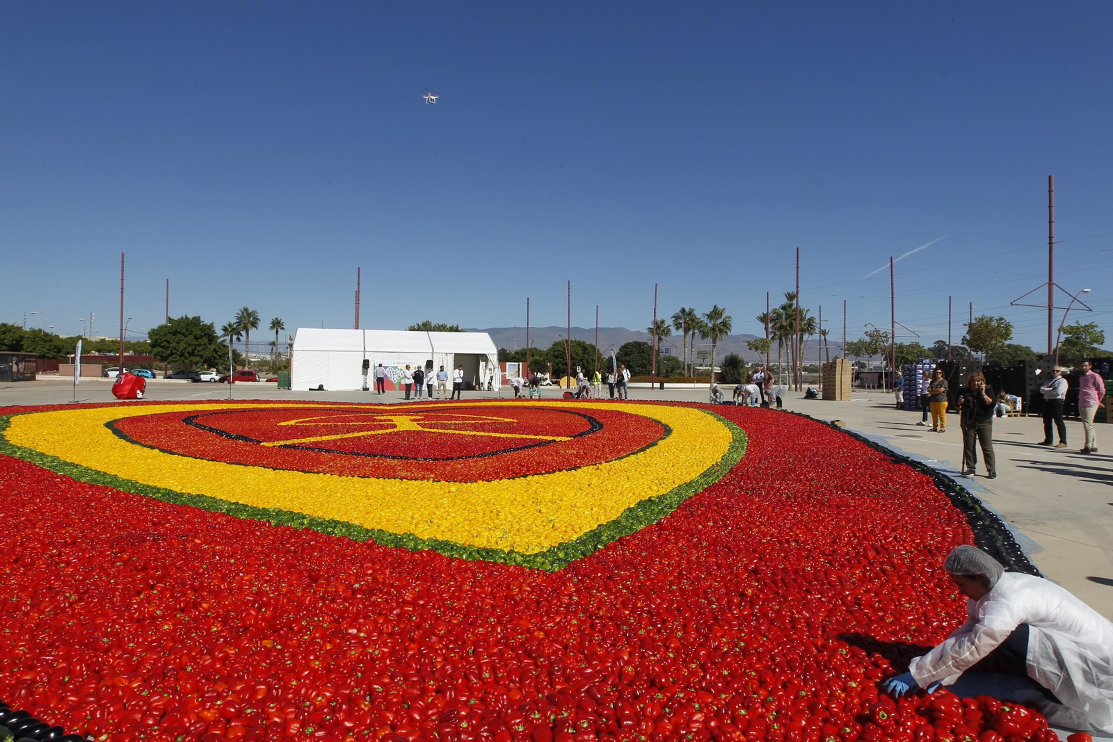 Fotogalería Récord Guinness Corazón Hortalizas Almería