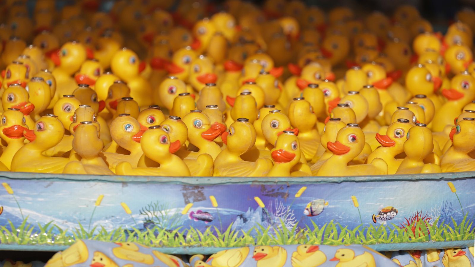 Fotos del lunes en la Feria Real de Algeciras