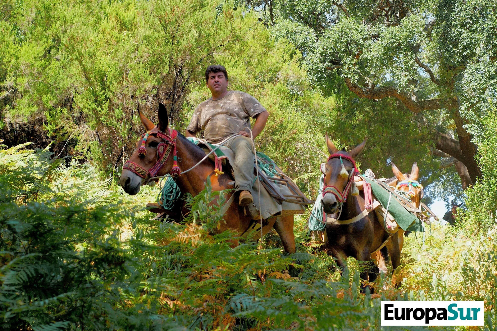Fotografías de 'El último bosque', por David Coronado
