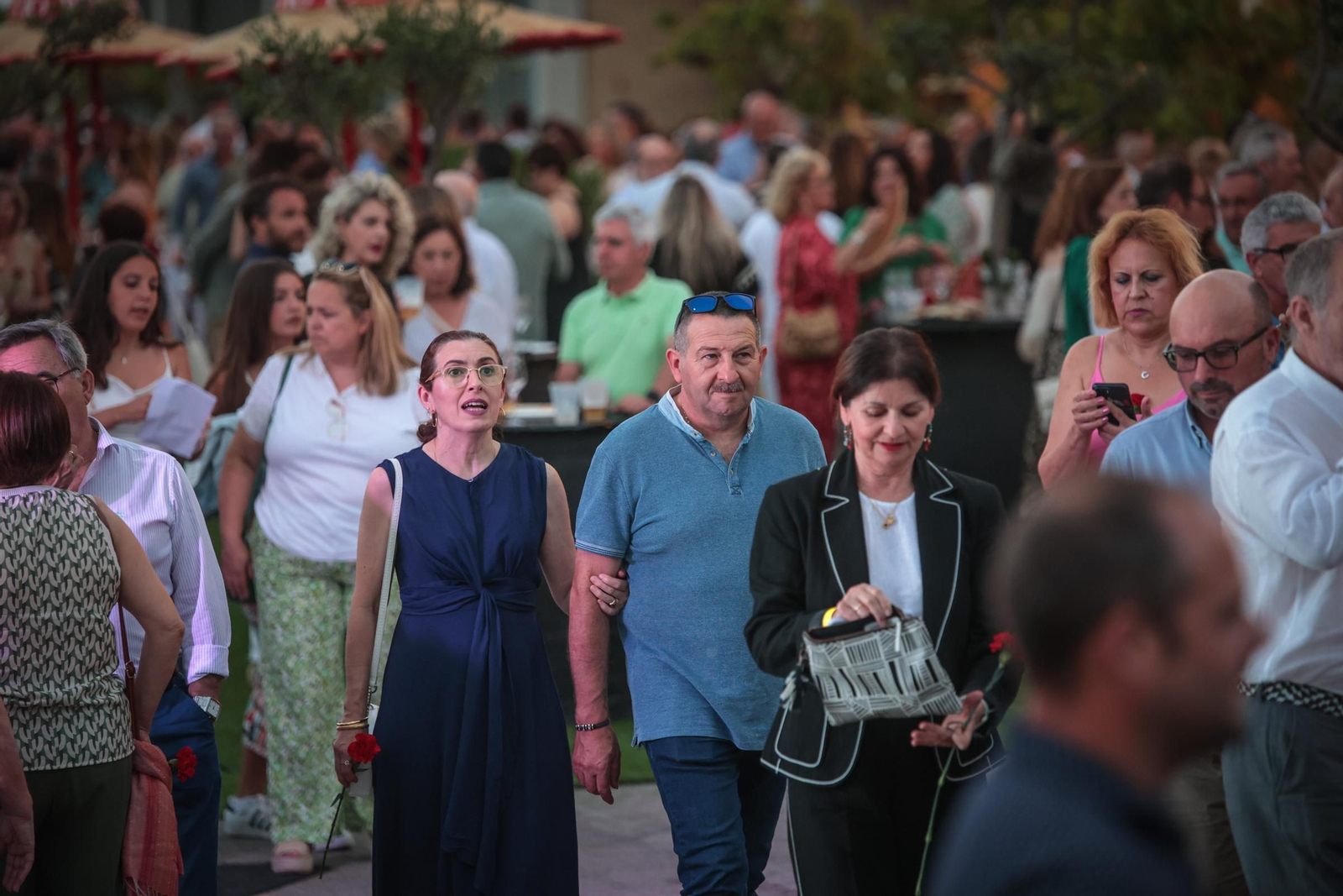 Imágenes del concierto de Raphael en el Tío Pepe Festival