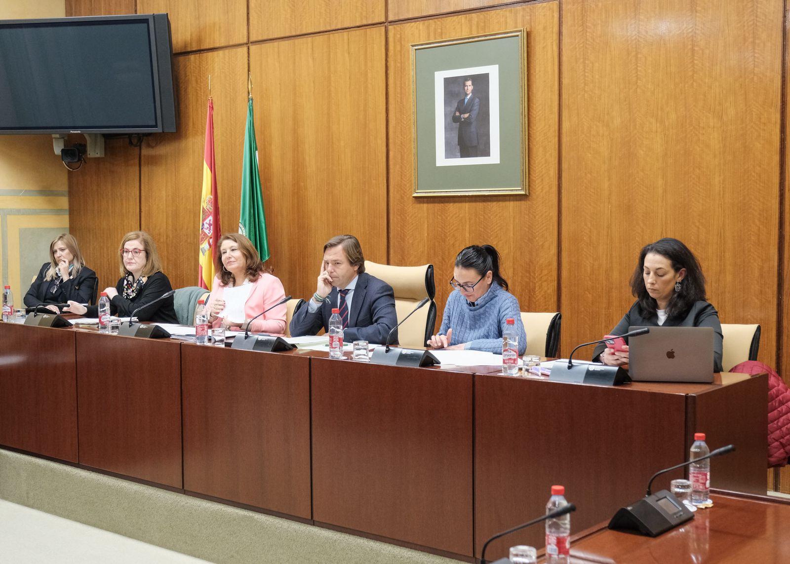 Comisión en el Parlamento andaluz