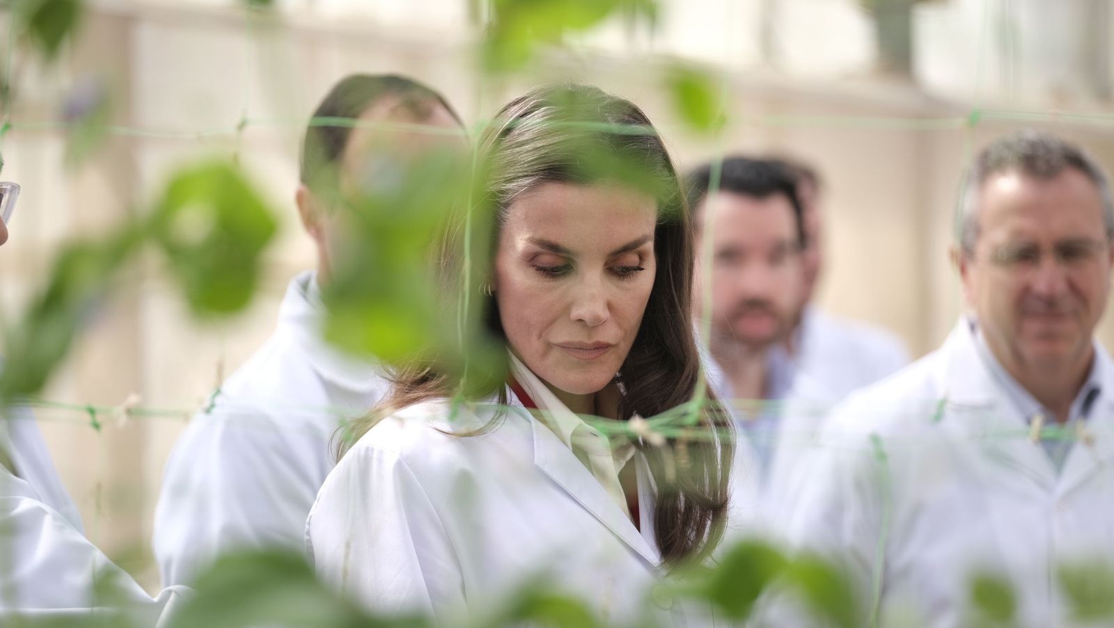 La visita de la reina Letizia a El Ejido, en imágenes