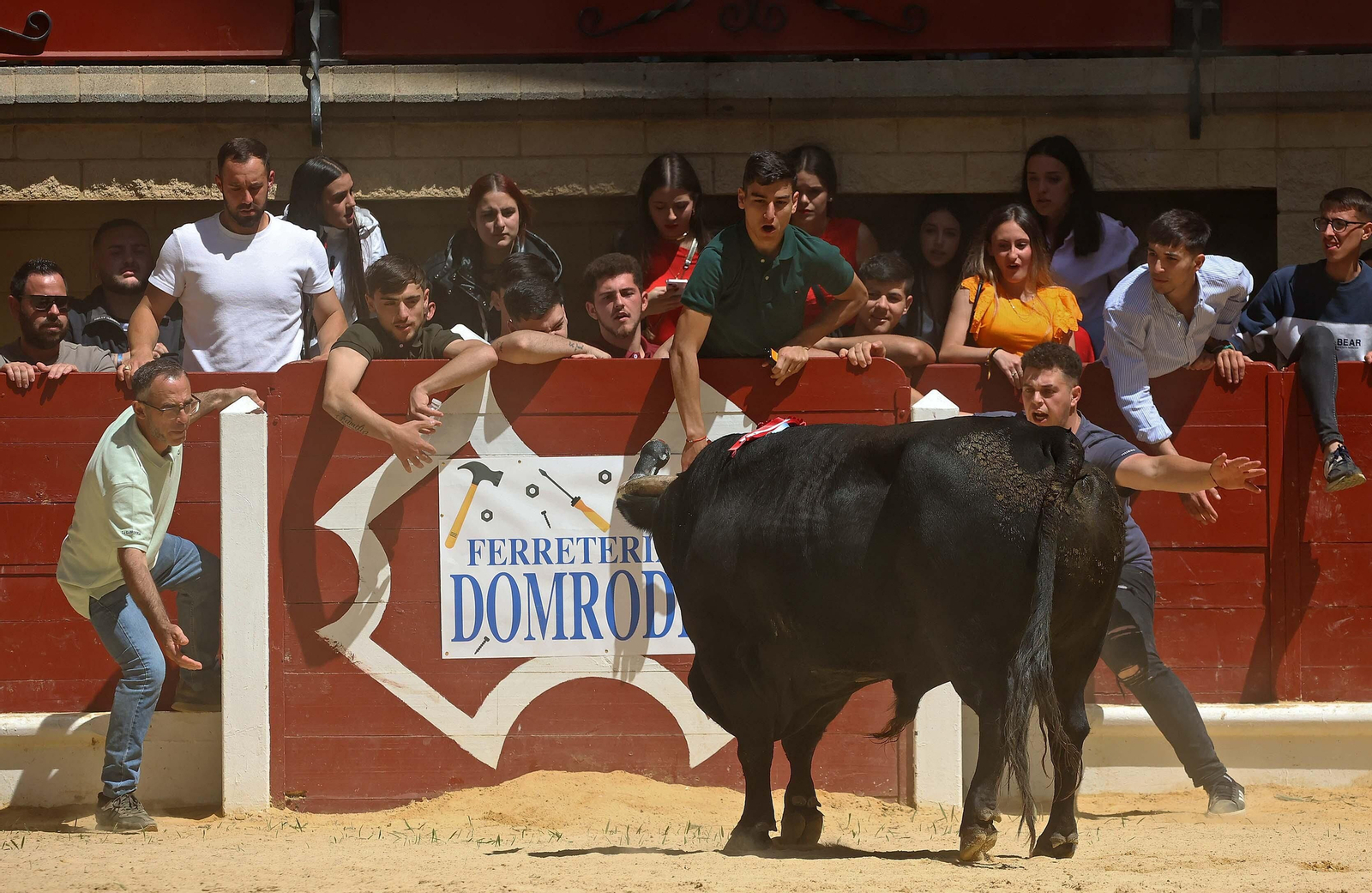 Las mejores fotos del Toro Embolao de Los Barrios 2024