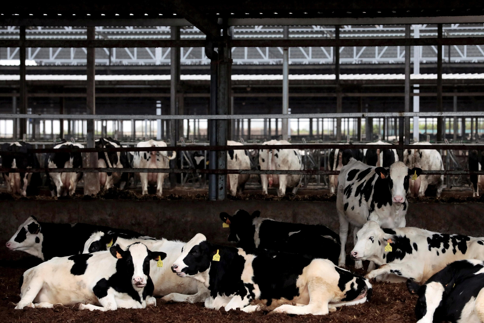 Vista general de una granja en Bétera, Valencia