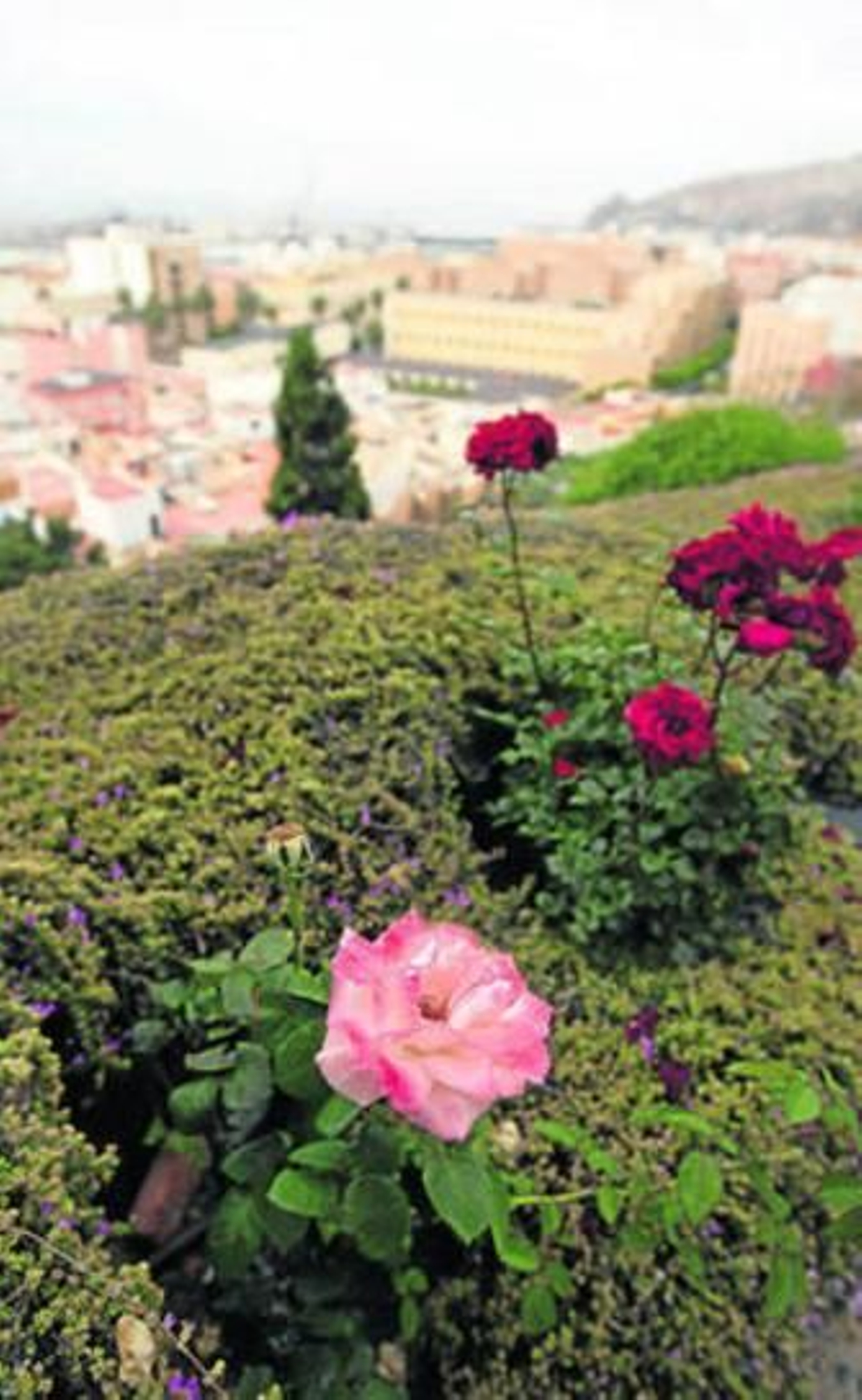 La Alcazaba, símbolo del cuarto Encuentro Hipanoárabe de Jardinería