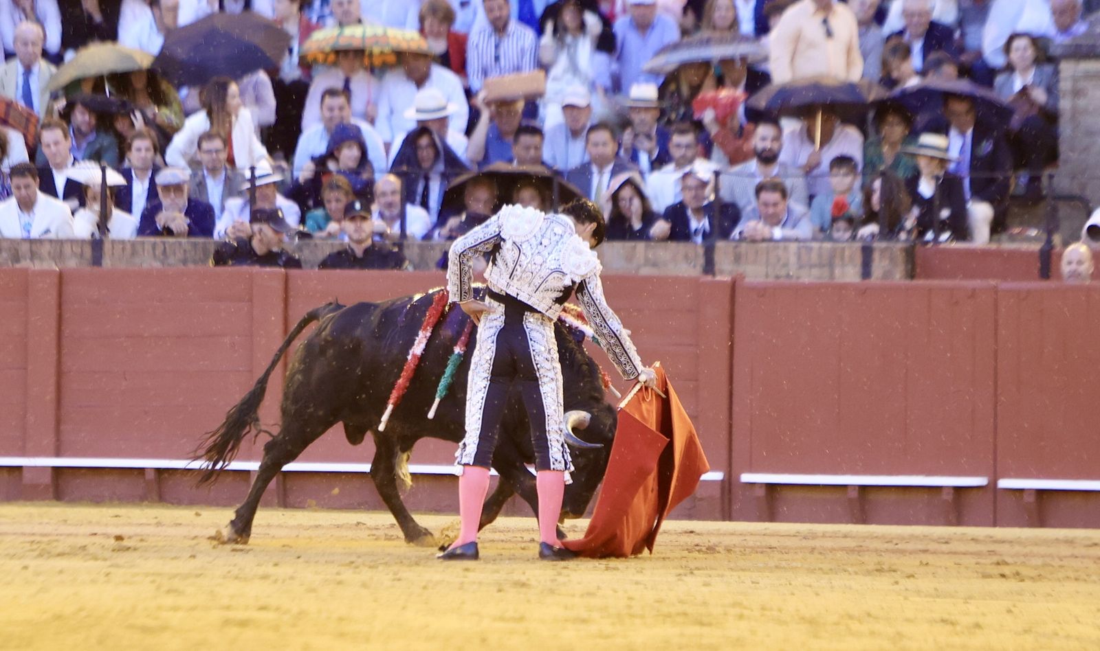 Las mejores imágenes de la corrida de toros de Juan Ortega, Roca Rey y Pablo Aguado