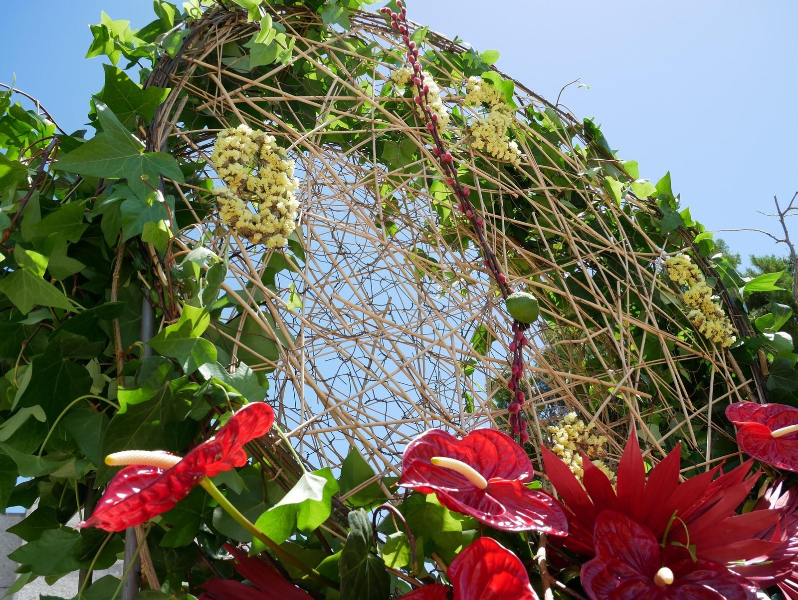 Un paseo en imágenes por las Calles en Flor de Cañete de las Torres