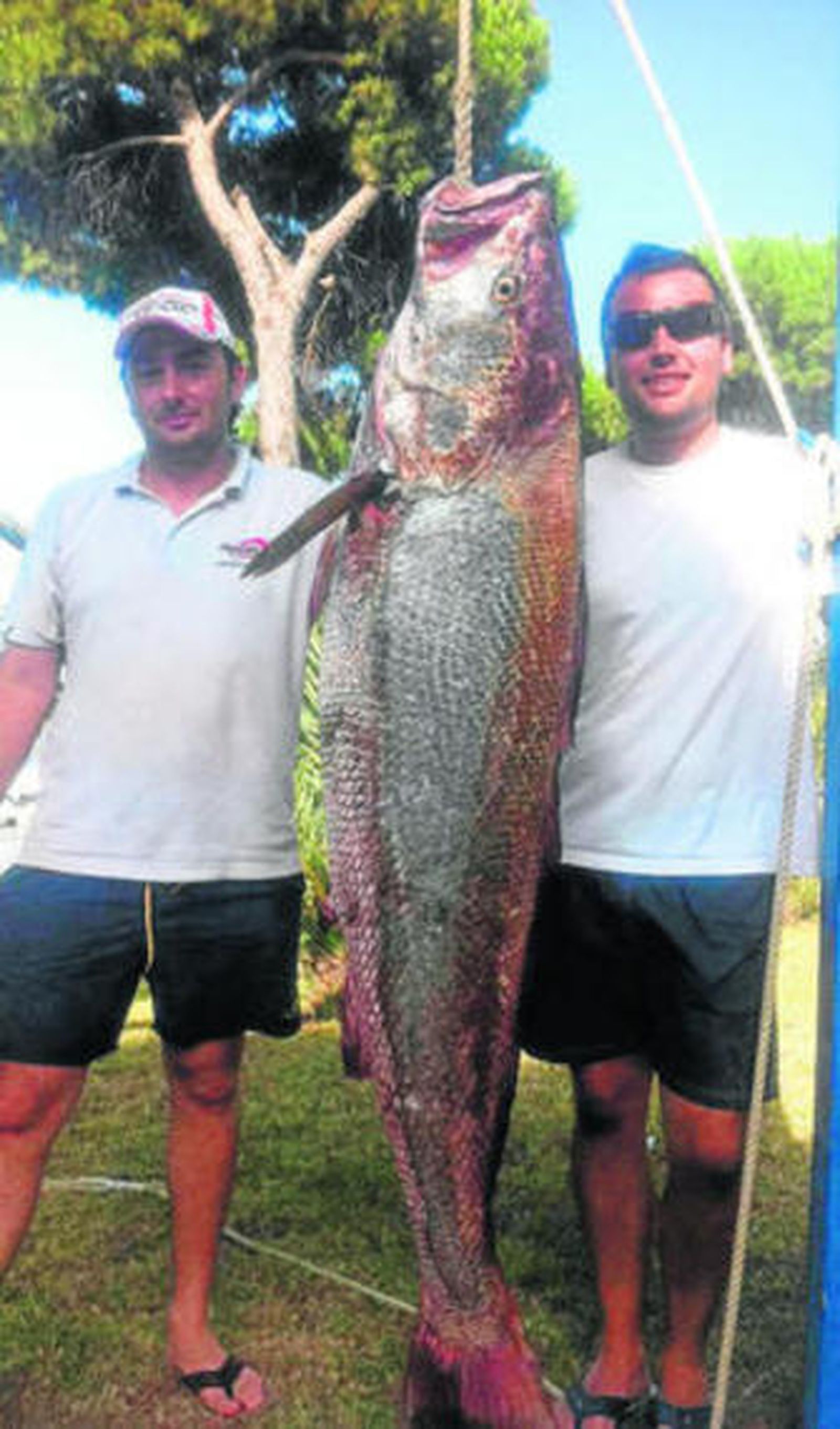 Asensio y Rebollo capturan una corvina de más de 50 kilos