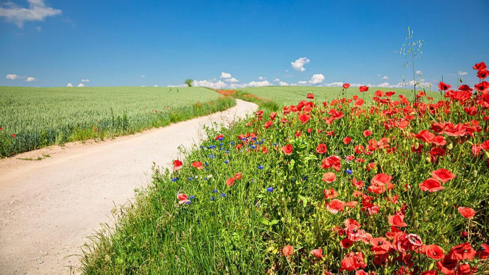 El camino natural de la Vía Verde del Renacimiento está lleno de paisajes tan pintorescos como éste.