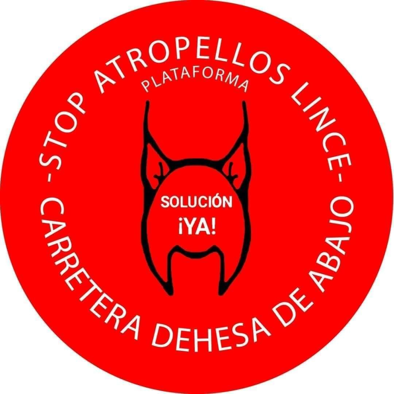Pulsa en la imagen para acceder a la plataforma Stop Atropellos Lince