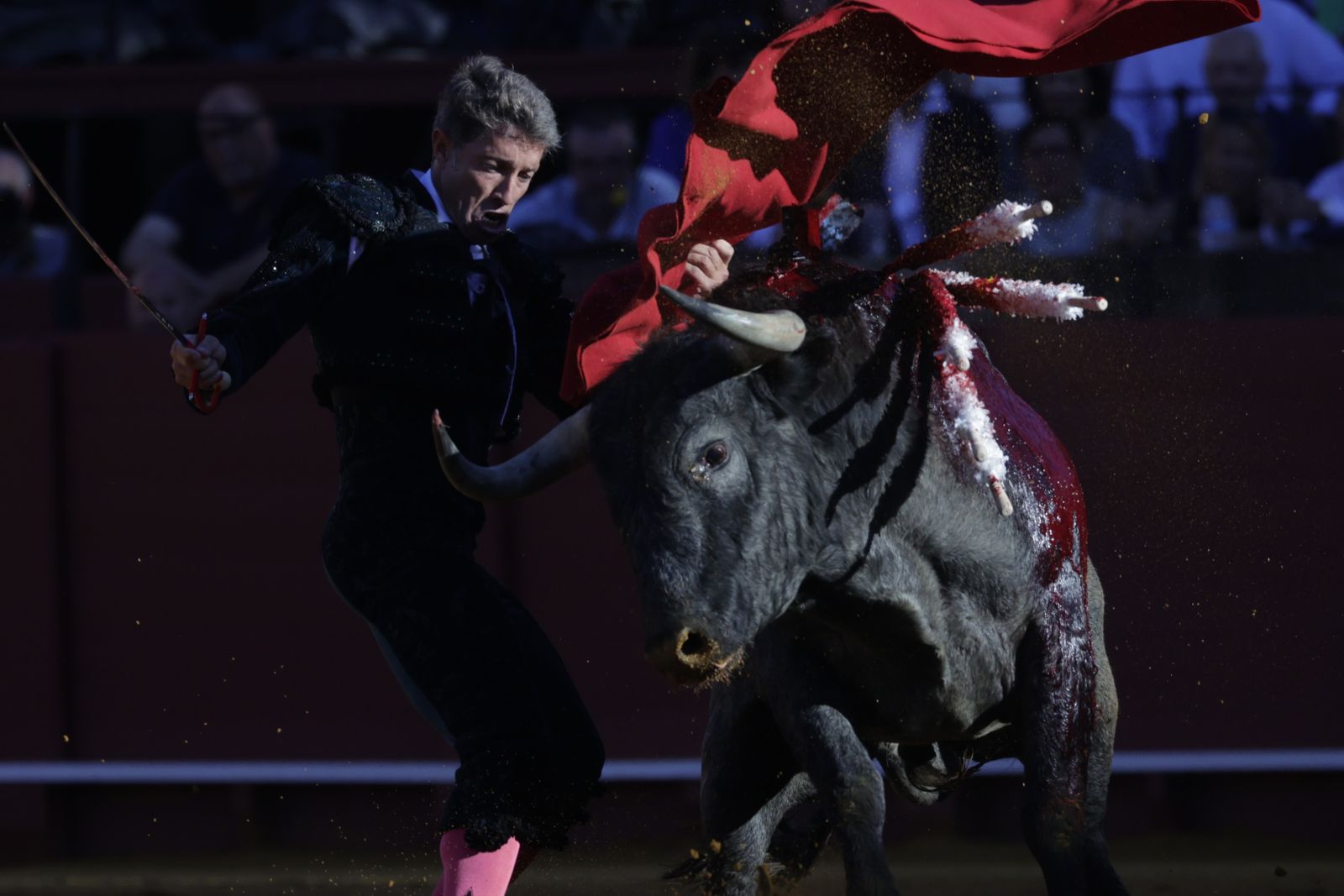 Las imágenes de la corrida de los Victorinos en la Maestranza de Sevilla
