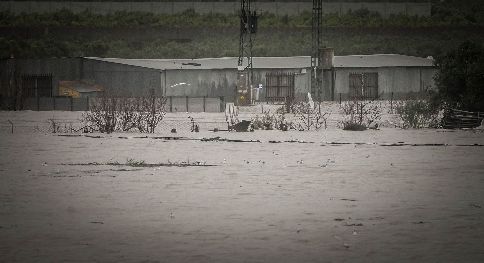 Imágenes de las graves consecuencias de la crecida del rio Guadalete en la zona rural de Jerez
