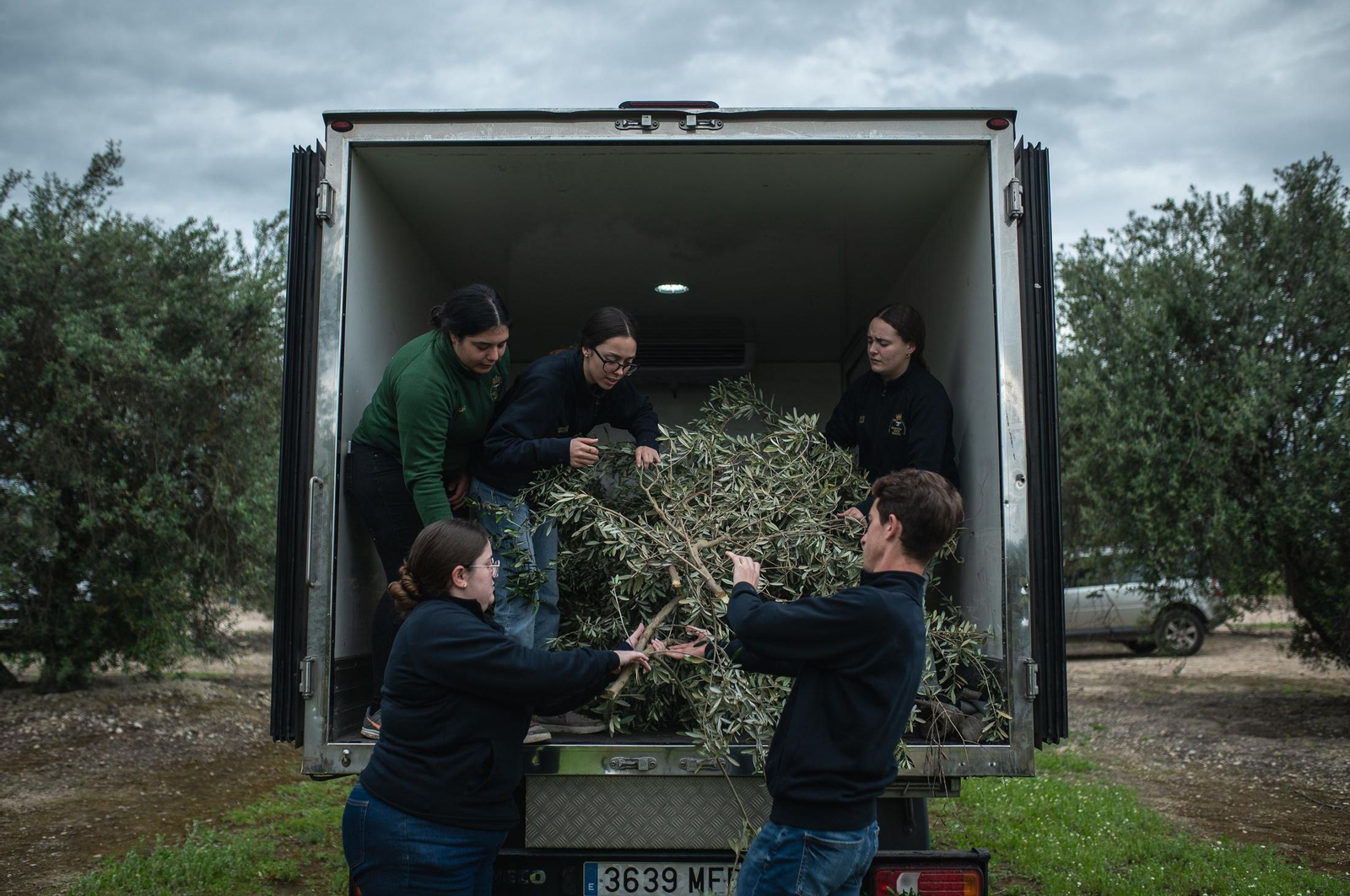 Los jóvenes de la hermandad cargan las ramas en la furgoneta.