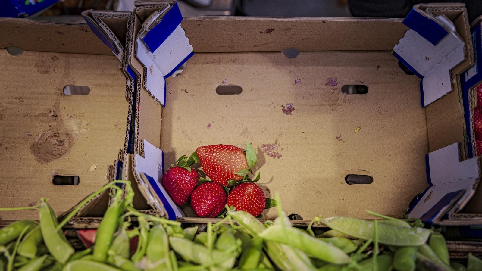 La nueva ley obliga a la comercialización de productos “feos o poco estéticos”.