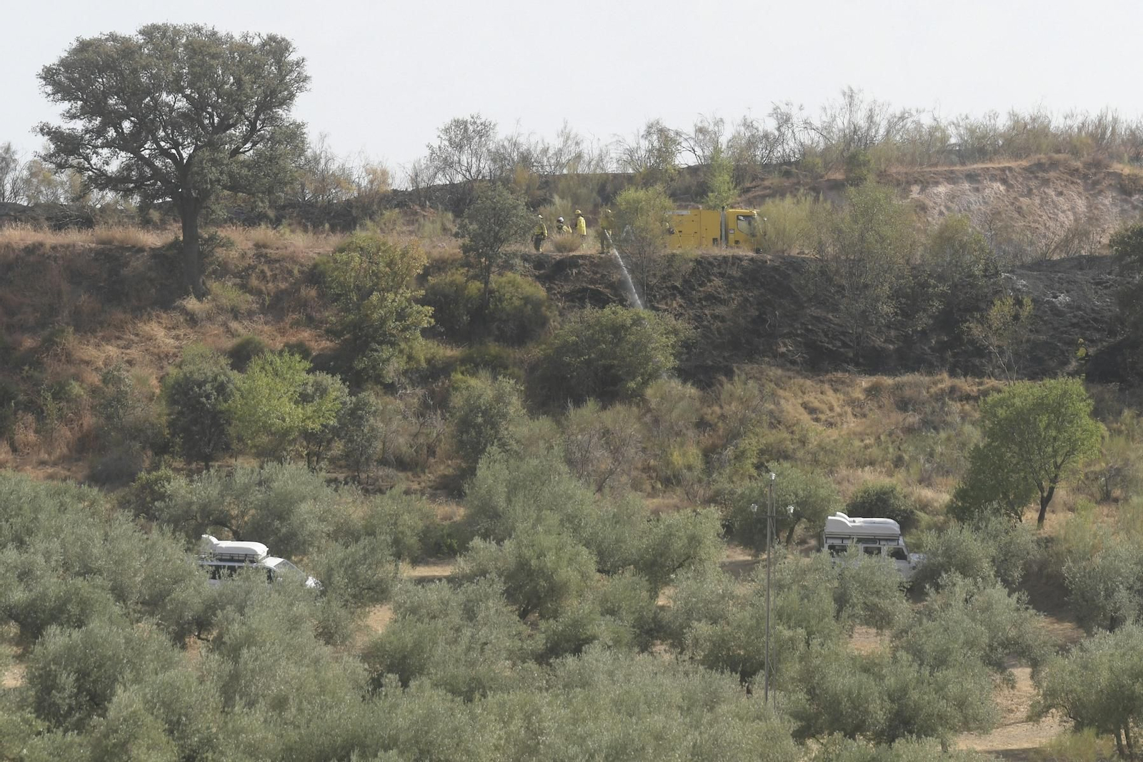 Las mejores imágenes del despliegue del Infoca en un incendio forestal en Jun