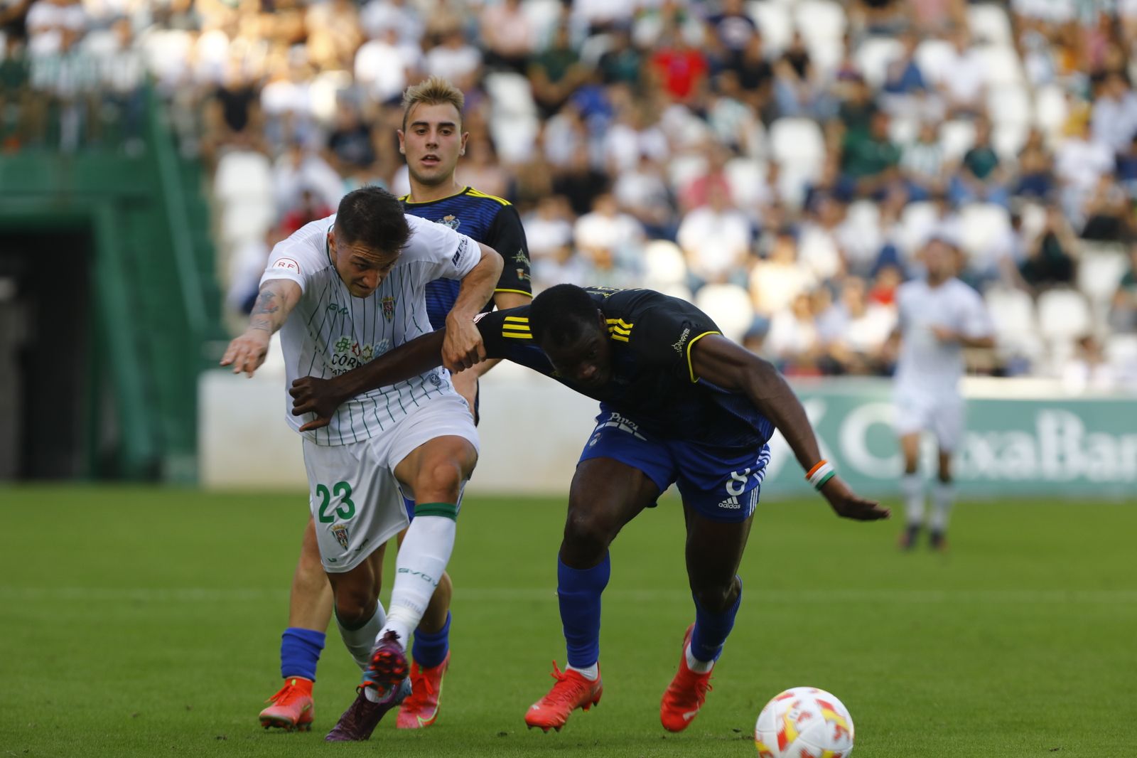 Las mejores imágenes del Córdoba CF - Talavera