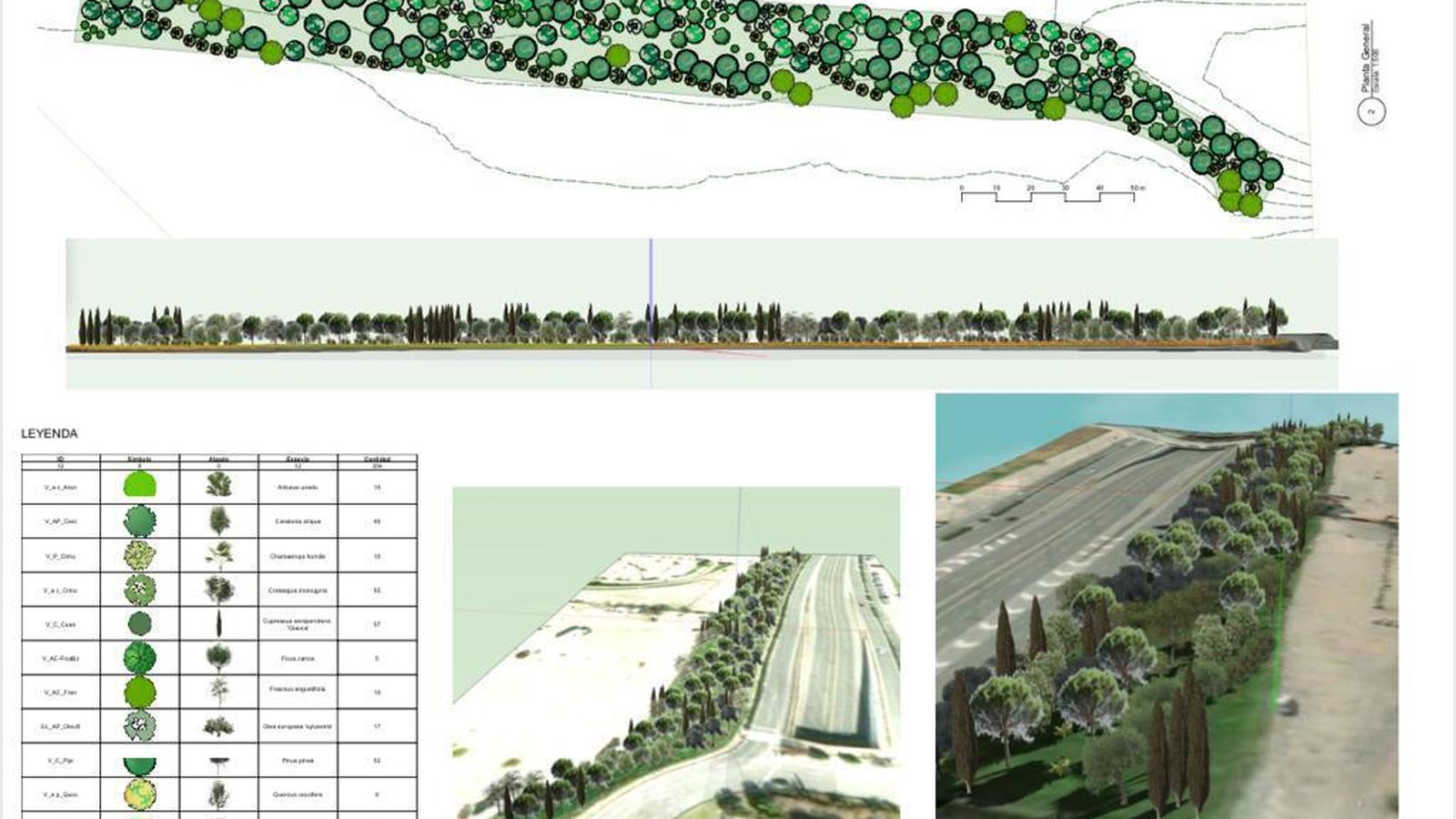 Recreación del Bosque de la Salud.