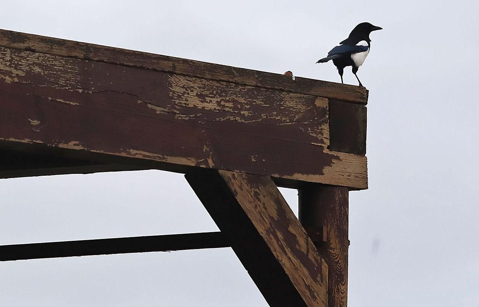 Las imágenes más destacadas del viernes 27 de octubre en Huelva