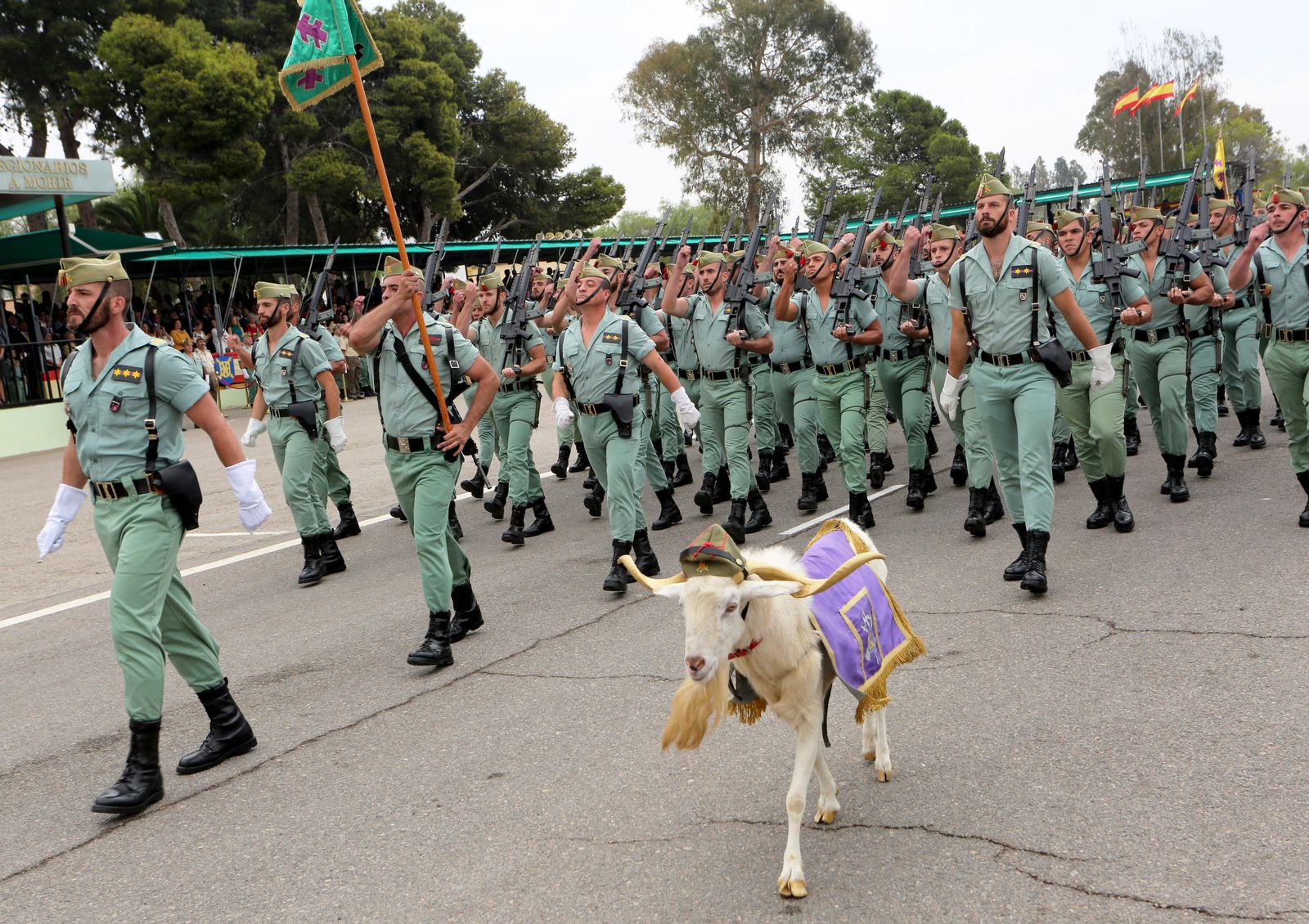 Todas las Unidades en formación participaron en el desfile al mando del coronel Bados, jefe del Tercio 3º.