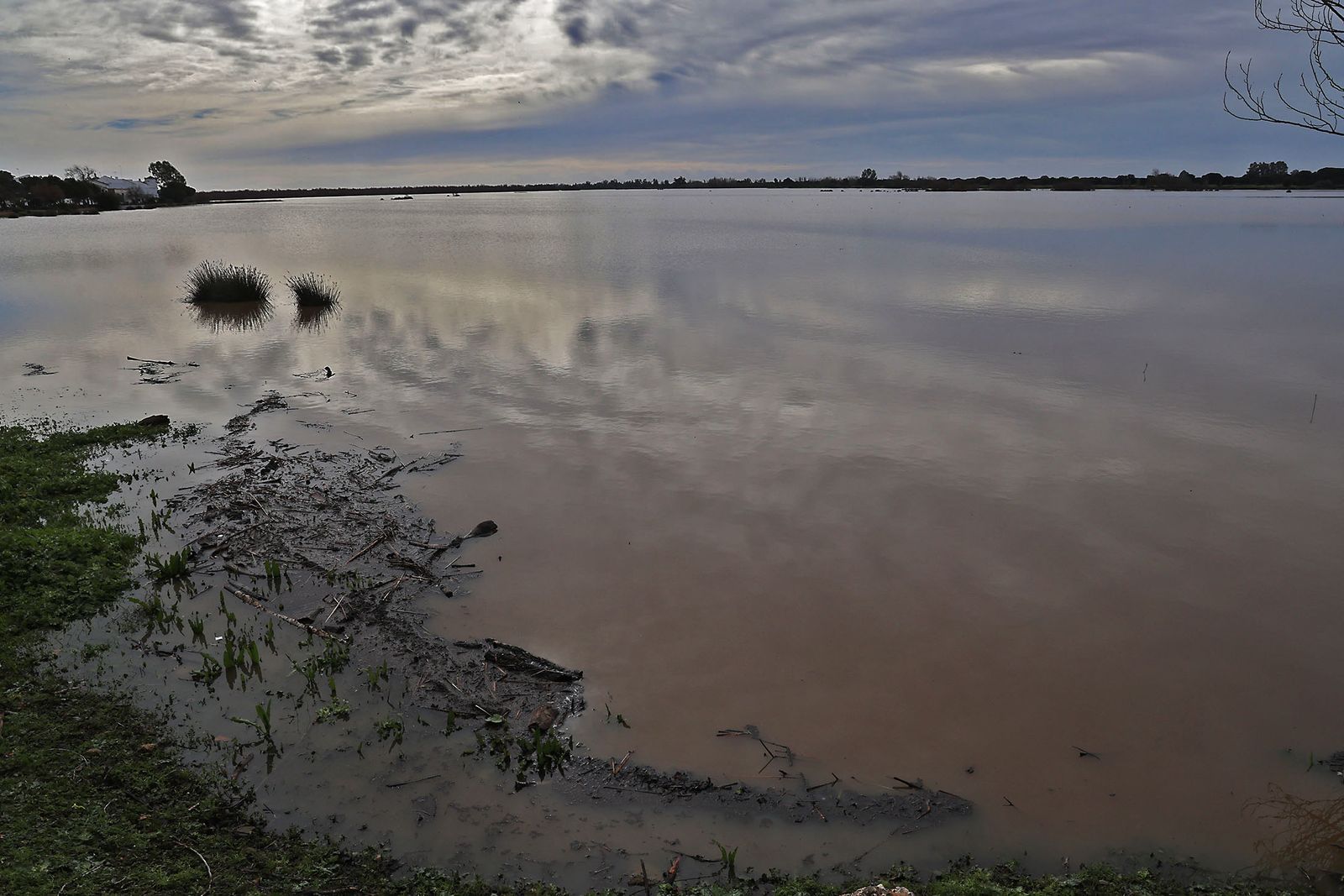 El estado de las marismas del Rocío tras el paso de la borrasca Marta