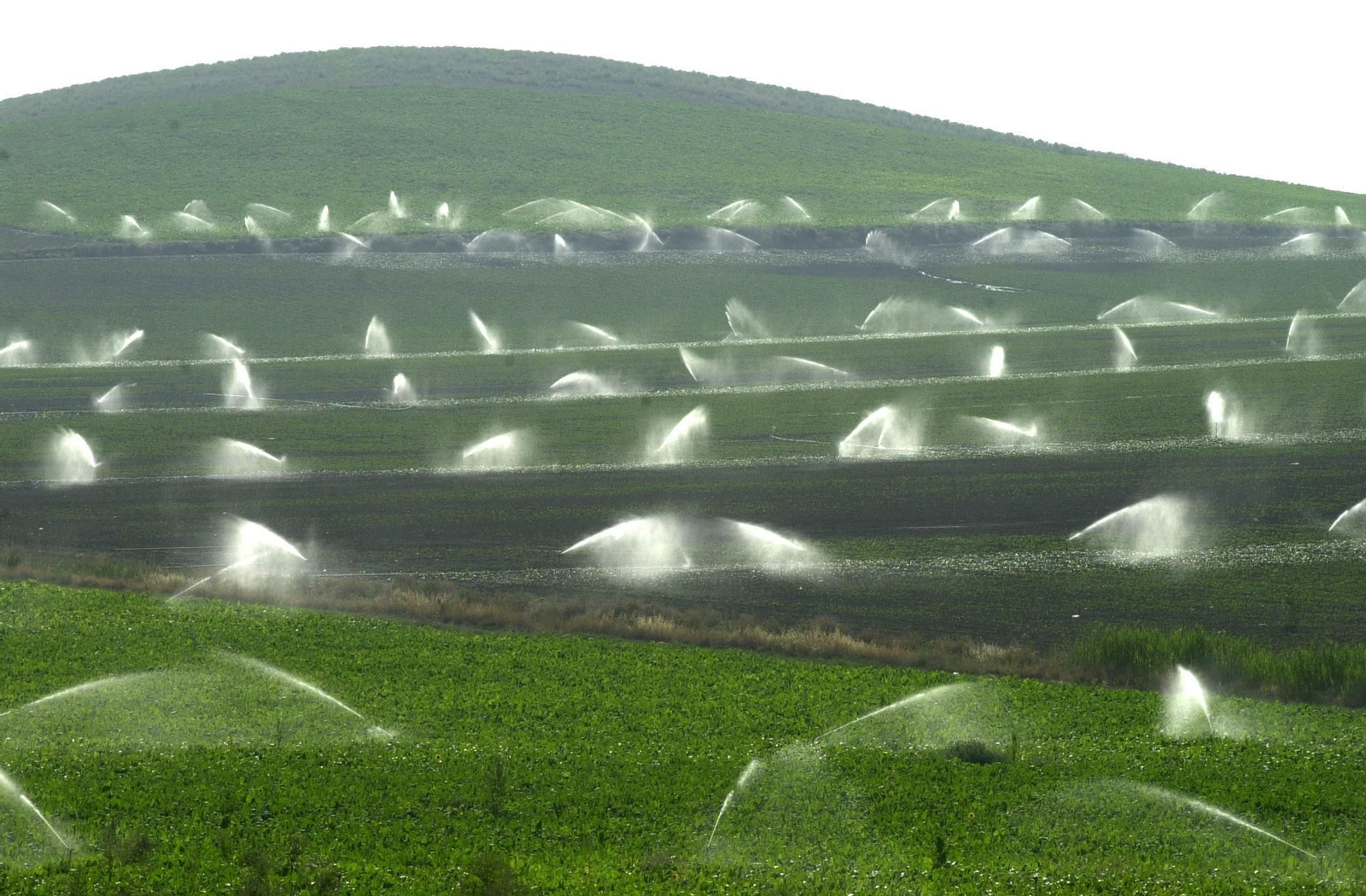 La Junta estima en 62 millones los fondos Feader que se pueden perder