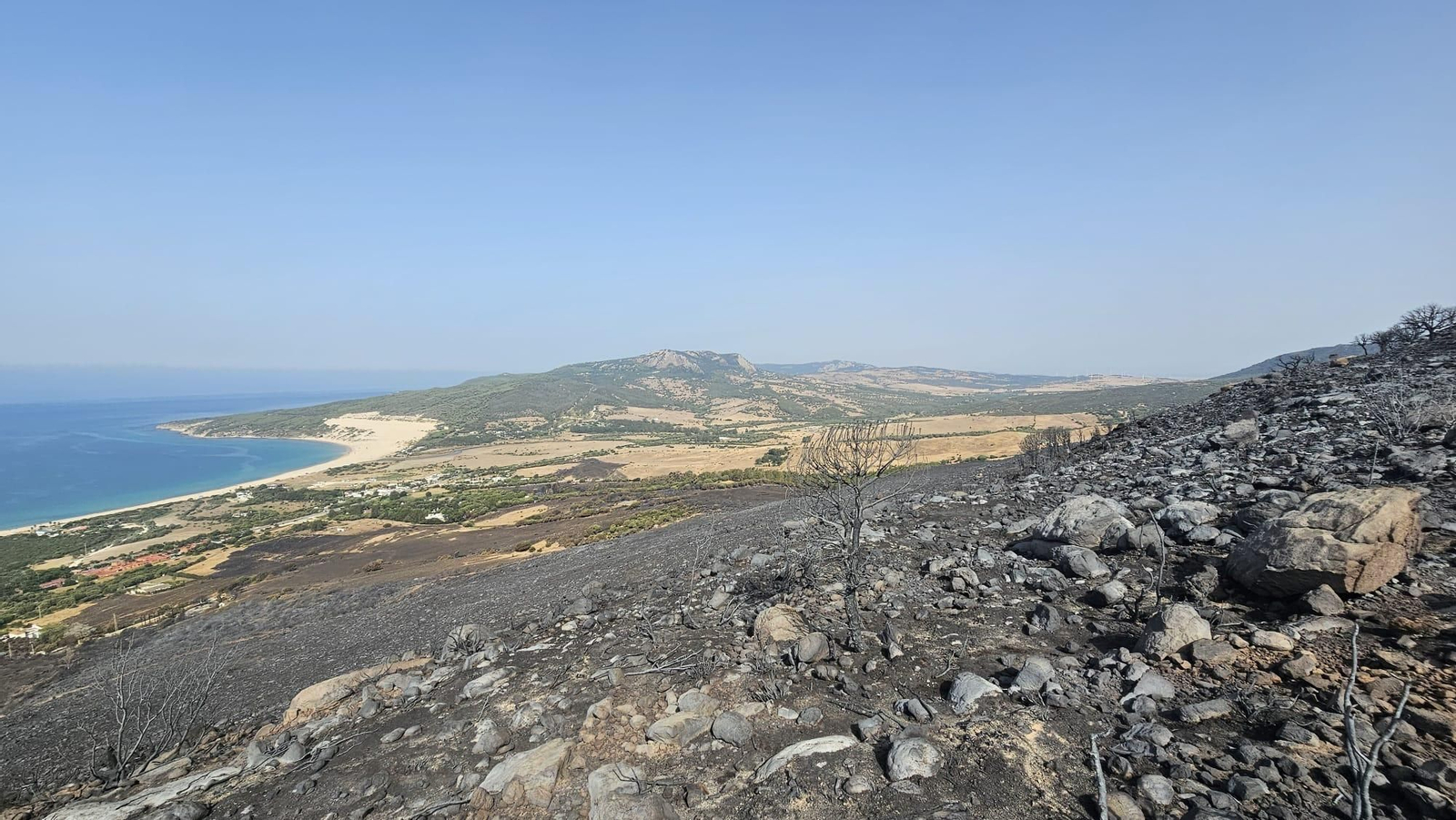 Así ha quedado el monte de La Peña tras el incendio forestal.